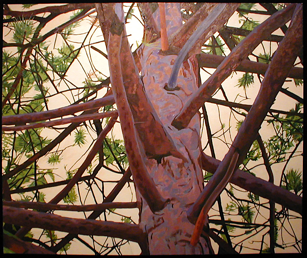 Delaware. 2004. oil on canvas. 60" X 72"