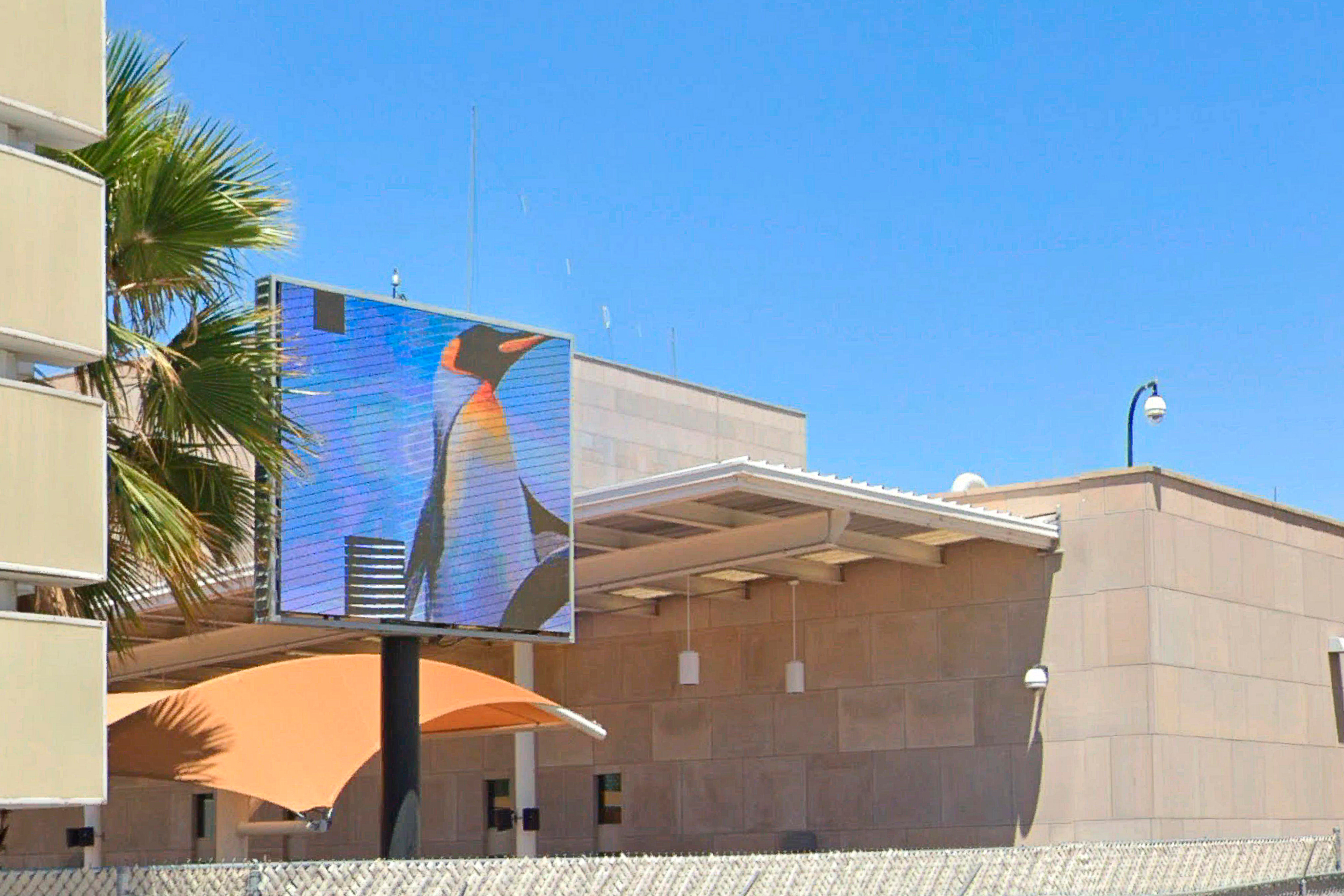 Av. Paseo de la Victoria. El Consulado de los Estados Unidos de América.