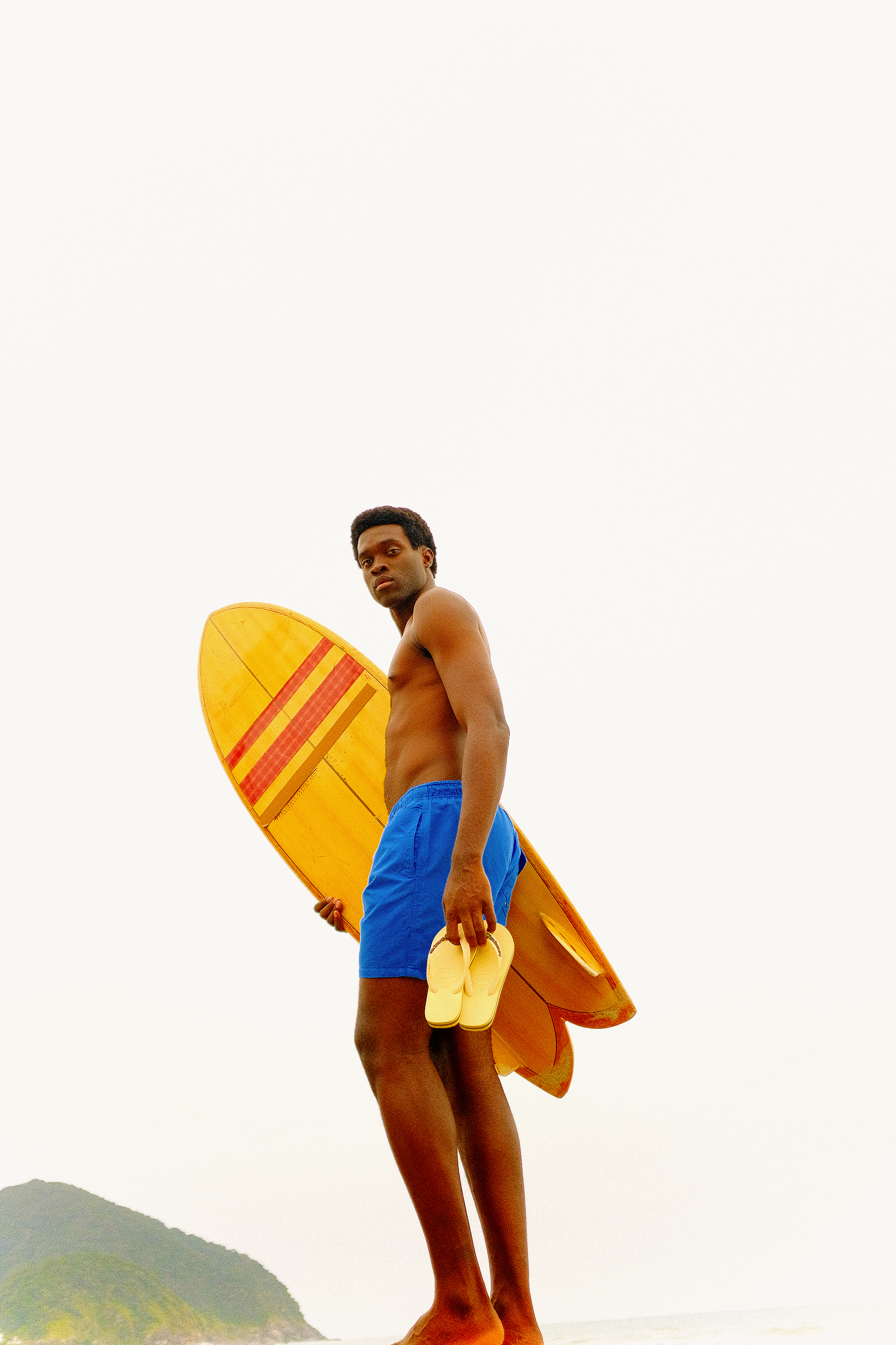 Havaianas, Icônicas Collection