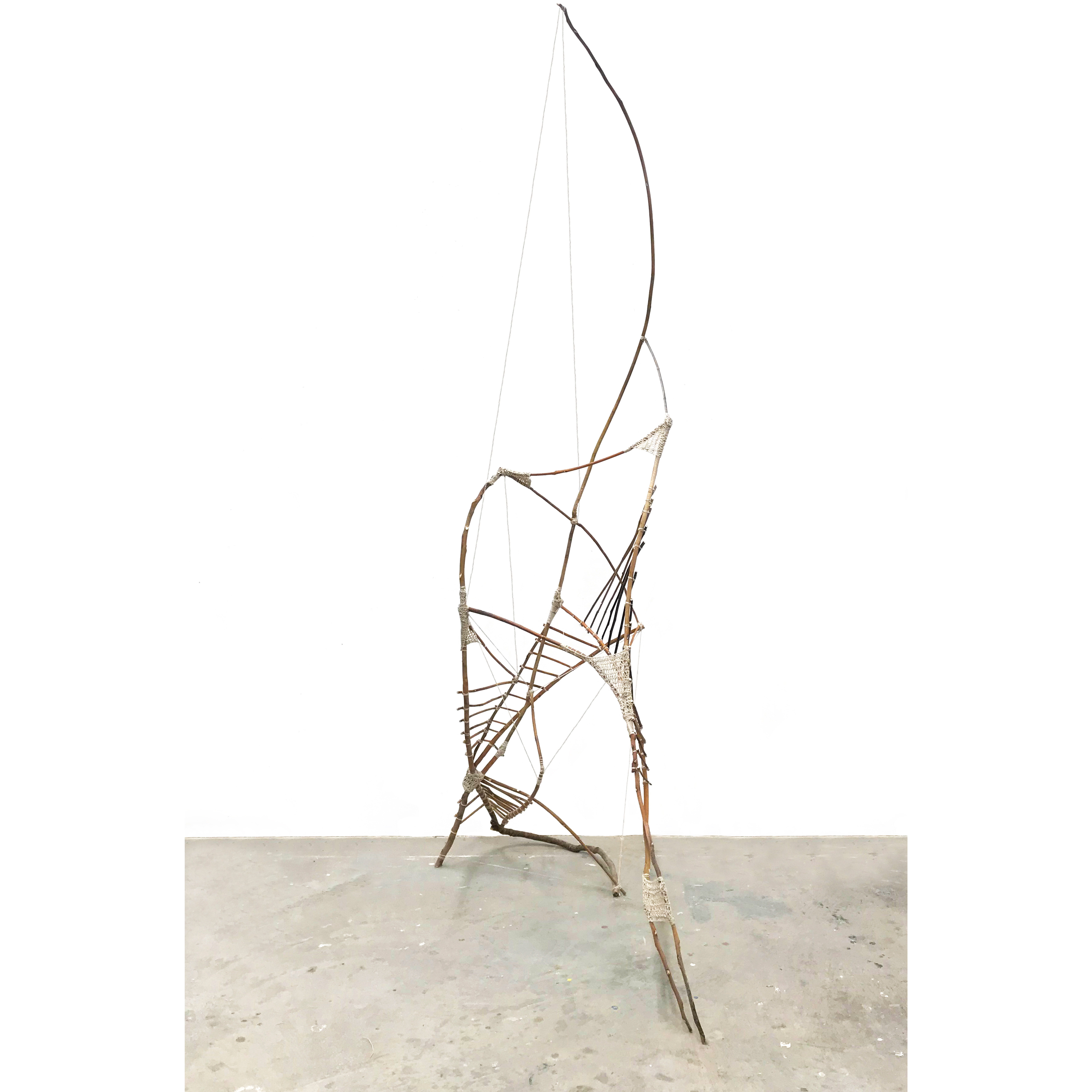 2021/Nature and Culture/Branch-Rope