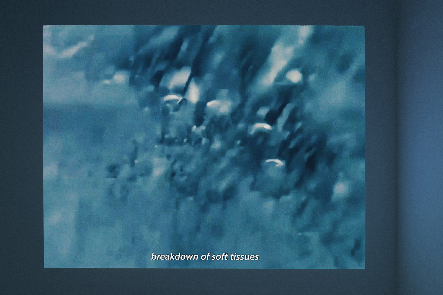 Installation view, Nicosia Municipal Arts Centre, 2025