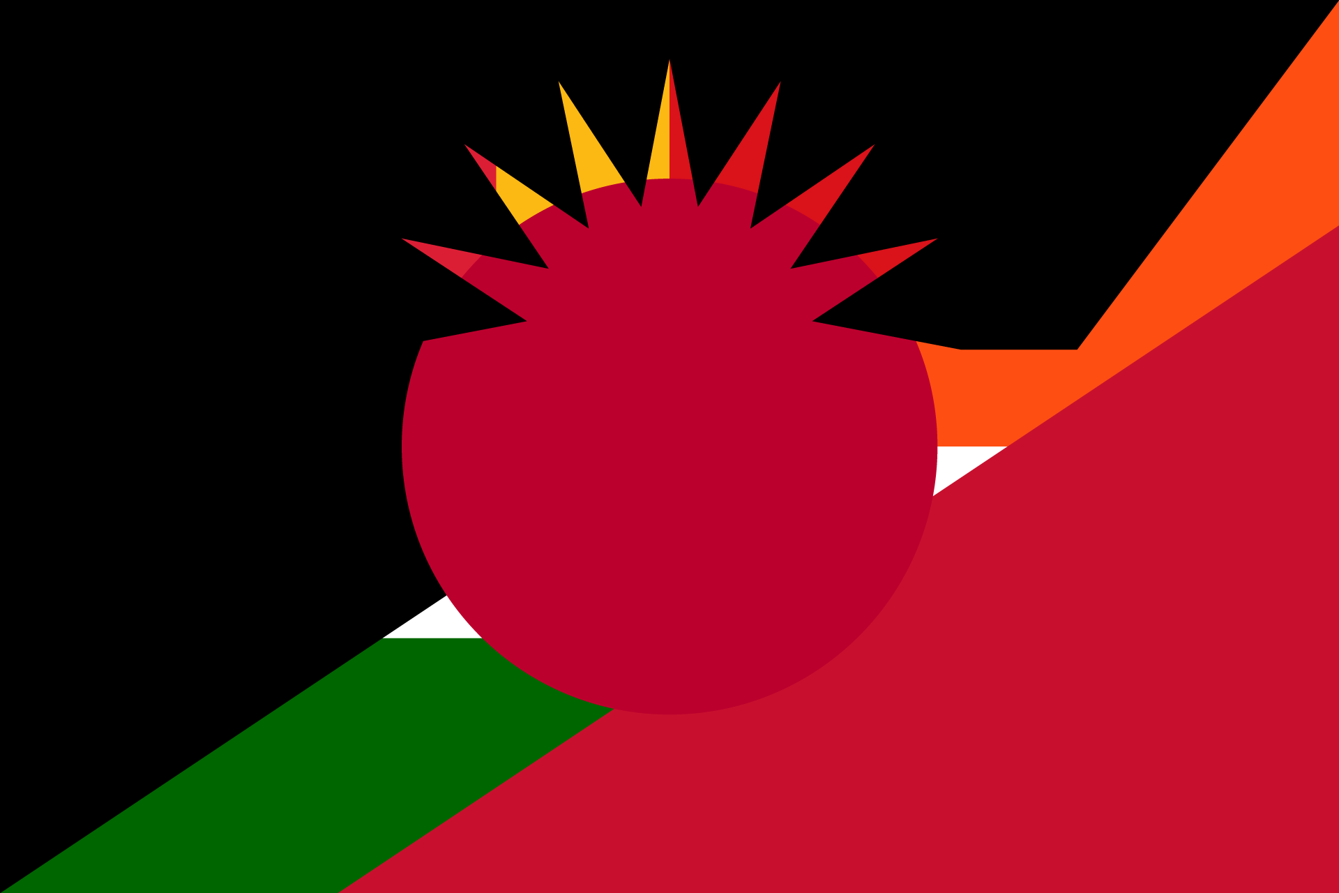 World Flags 9/9, 2025, print on polyester, 120 × 180 cm