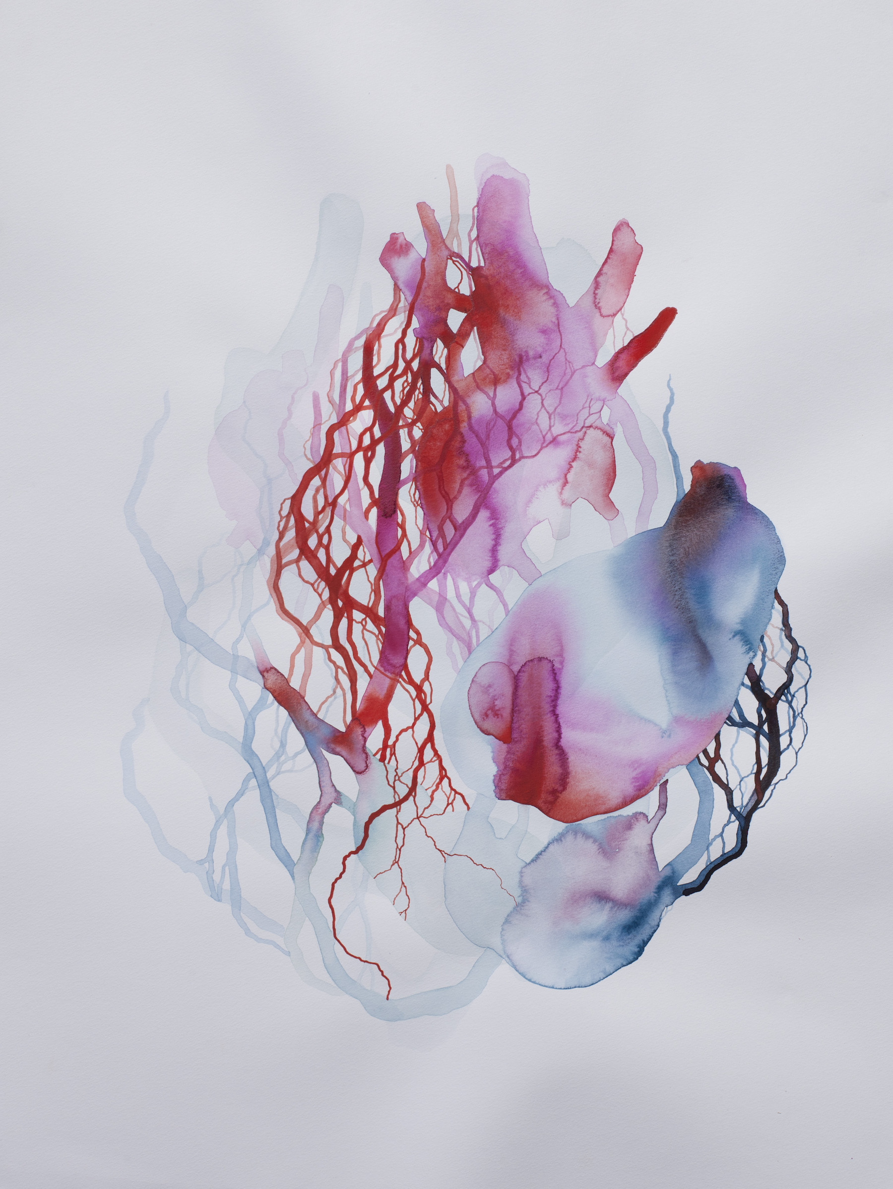 "Entraille e" (aquarelle, 59x80cm, tout d&eacute;but mars 2025)