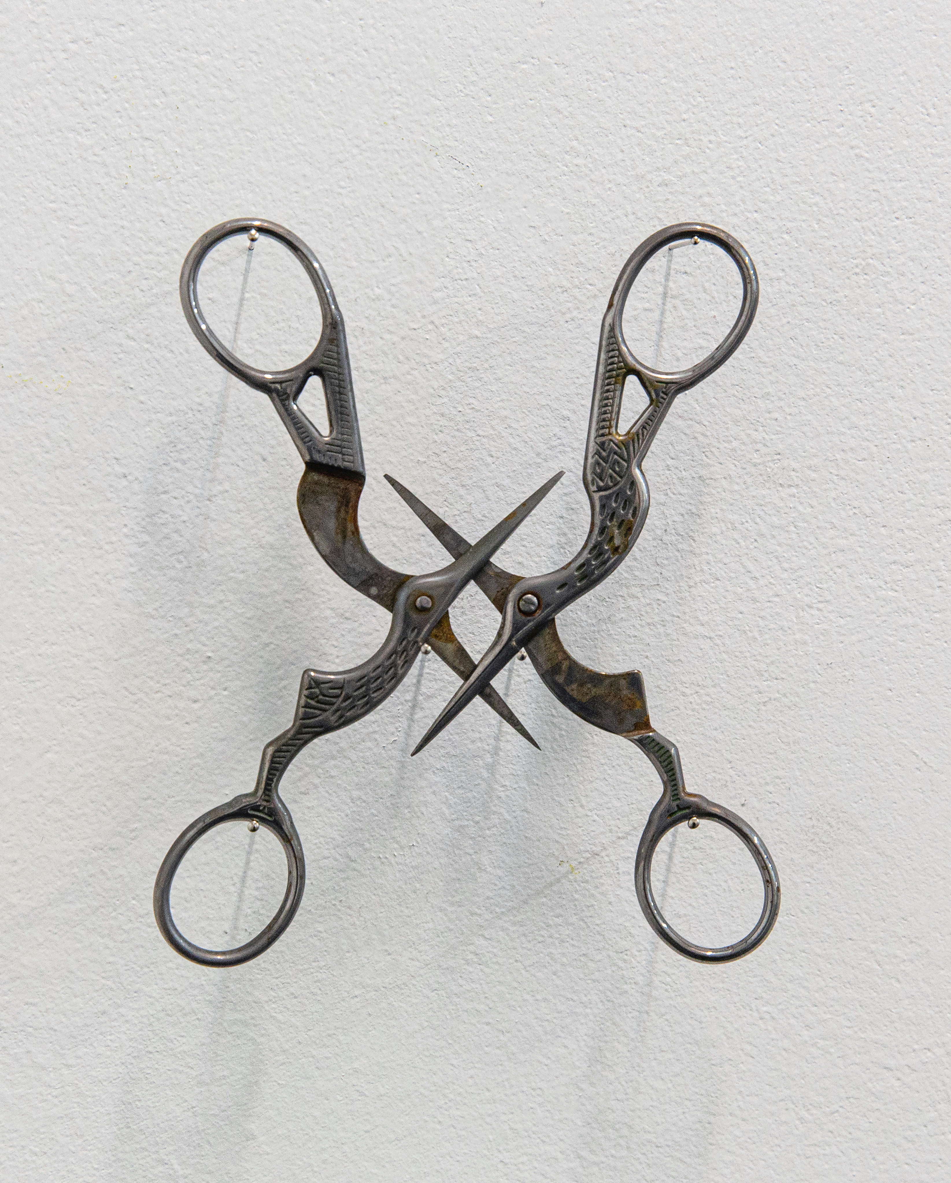 Birds/Scissors, 2022