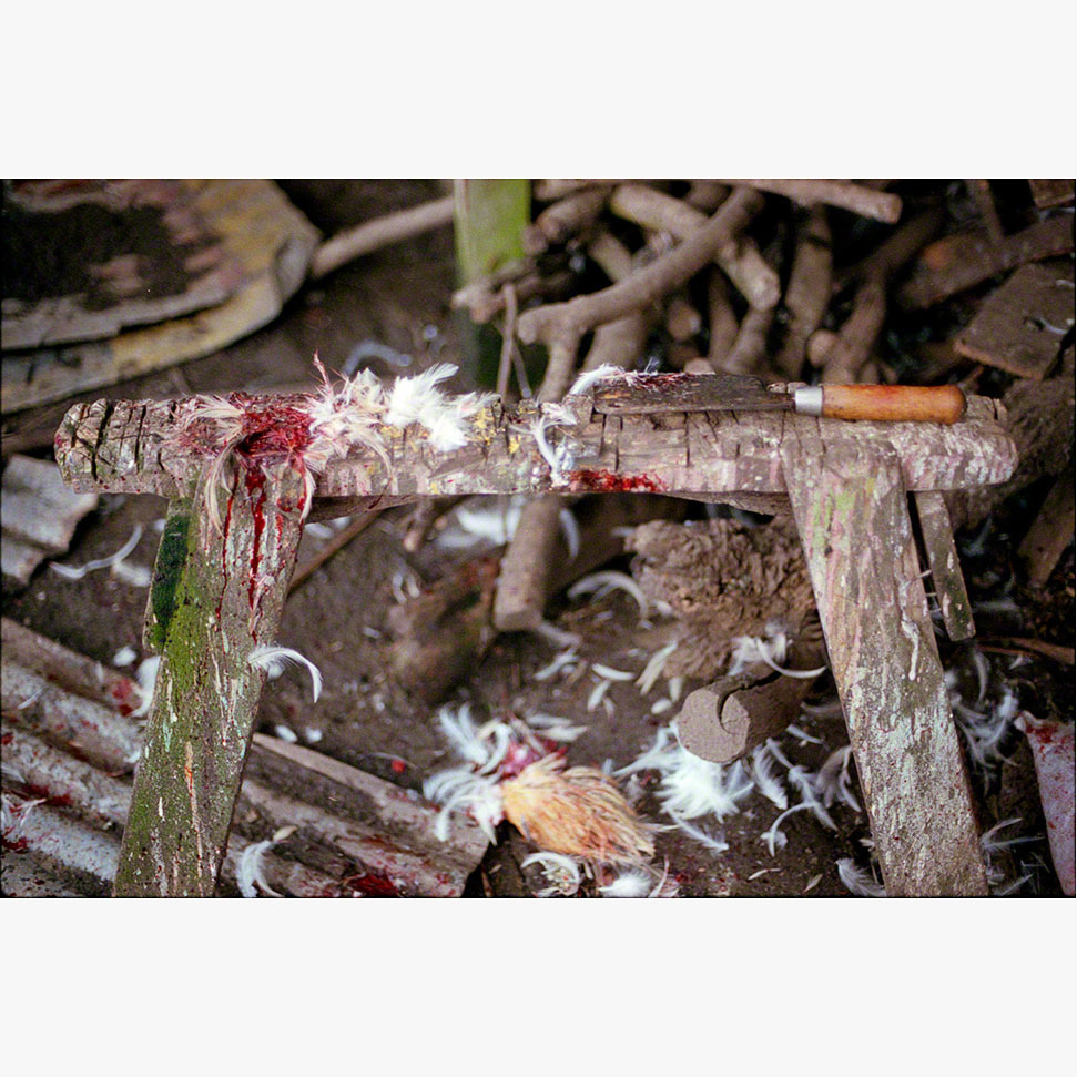 2/3Ōhāriu, 2001 (010701_004a)