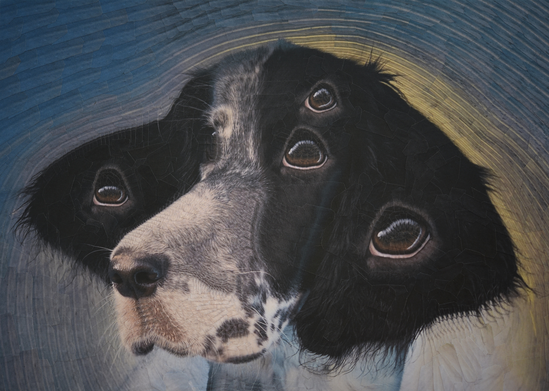 Kayack, 2020, 11.6 x 8.2 inches