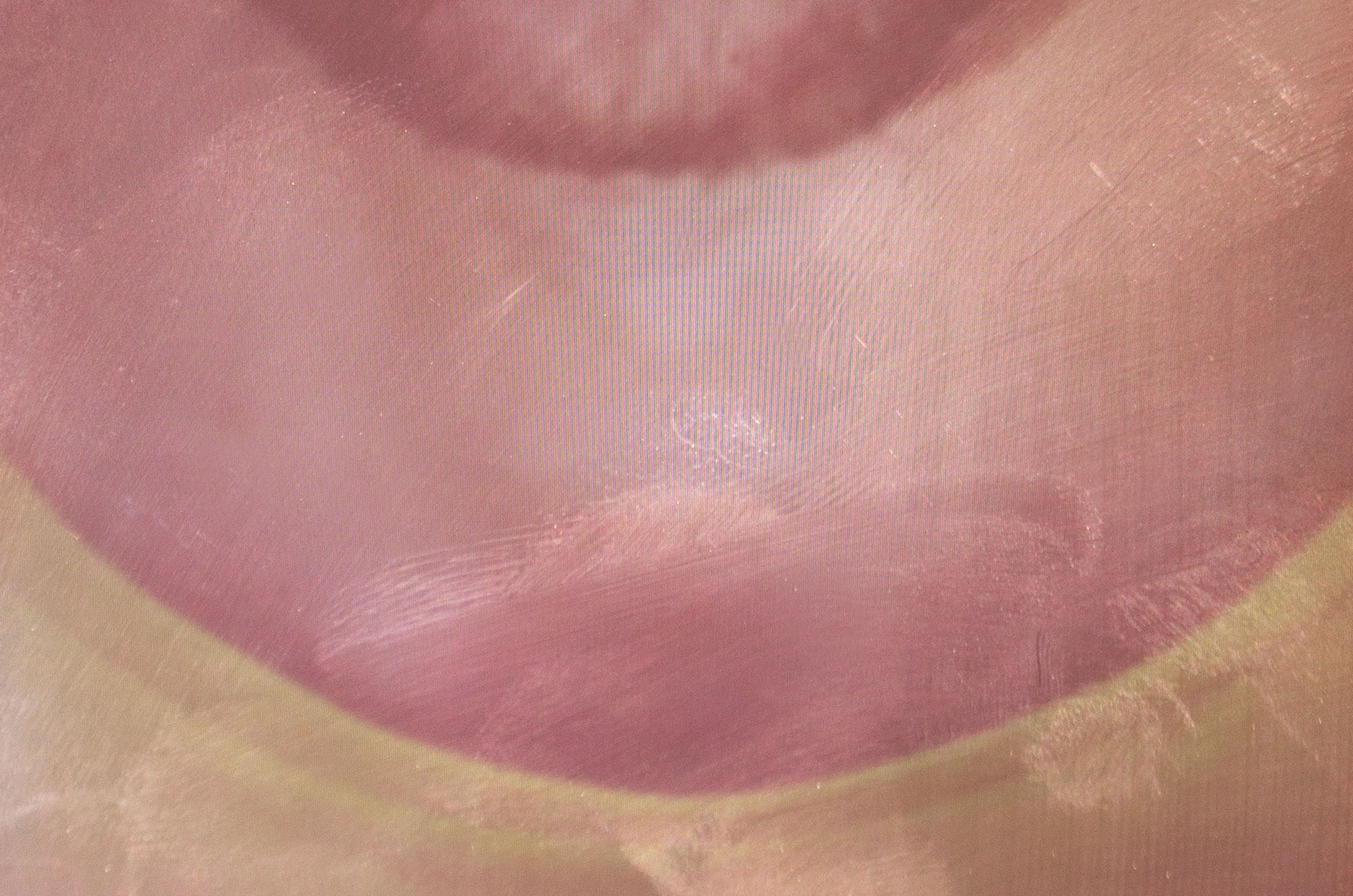 Screen Romance, photography, dimensions variable