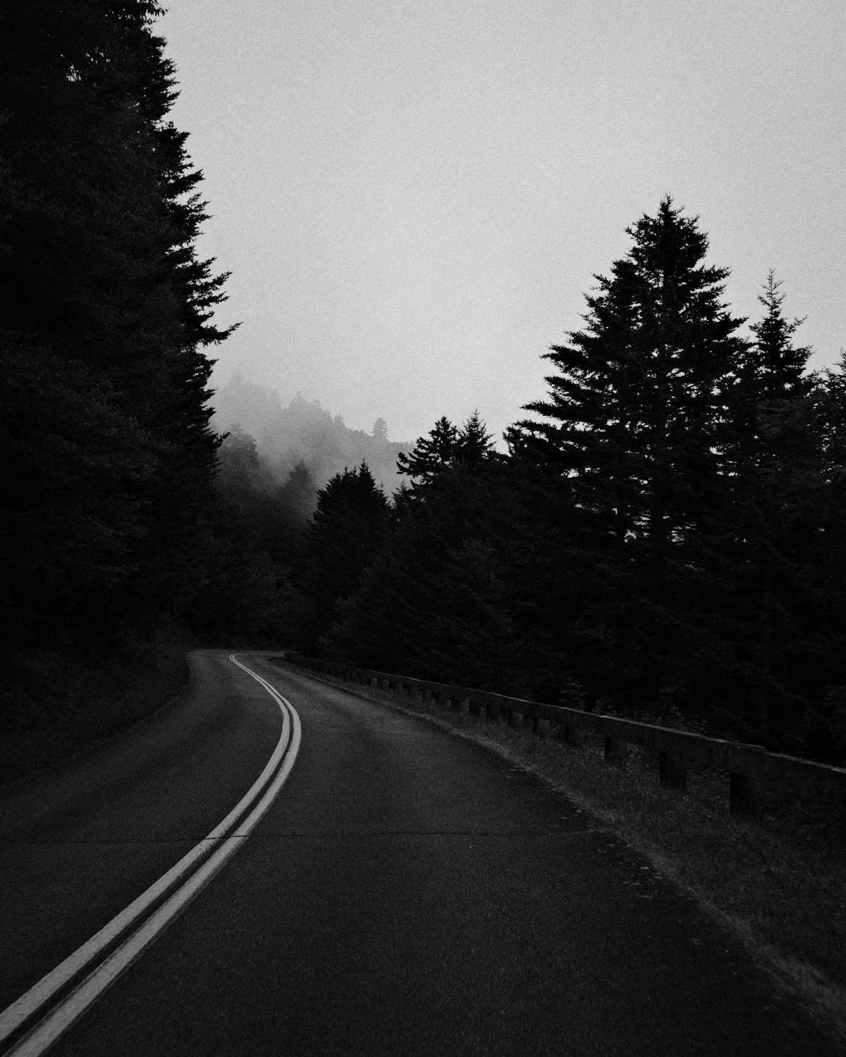 Blue Ridge Parkway, NC - June