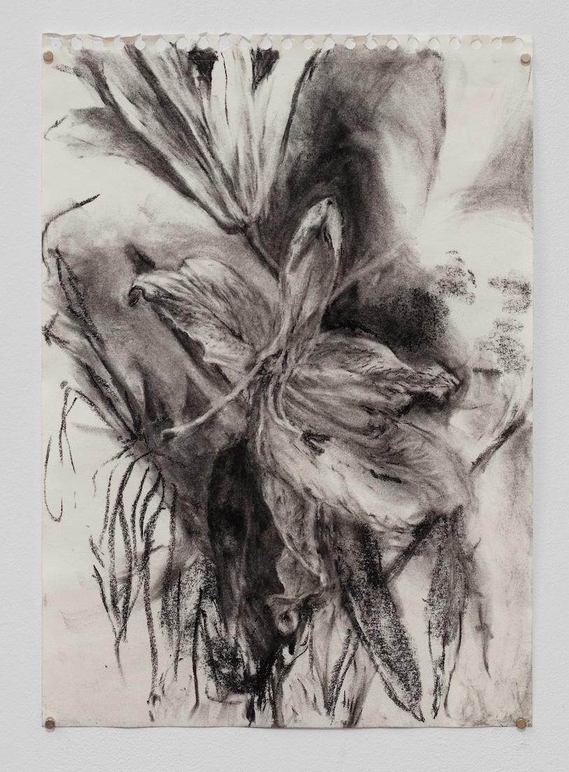 Sober Flowers seeking for Statistics #7, 2024 Charcoal on paper 21 x 29,7 cm. (Documentation: Silvia Cappellari)