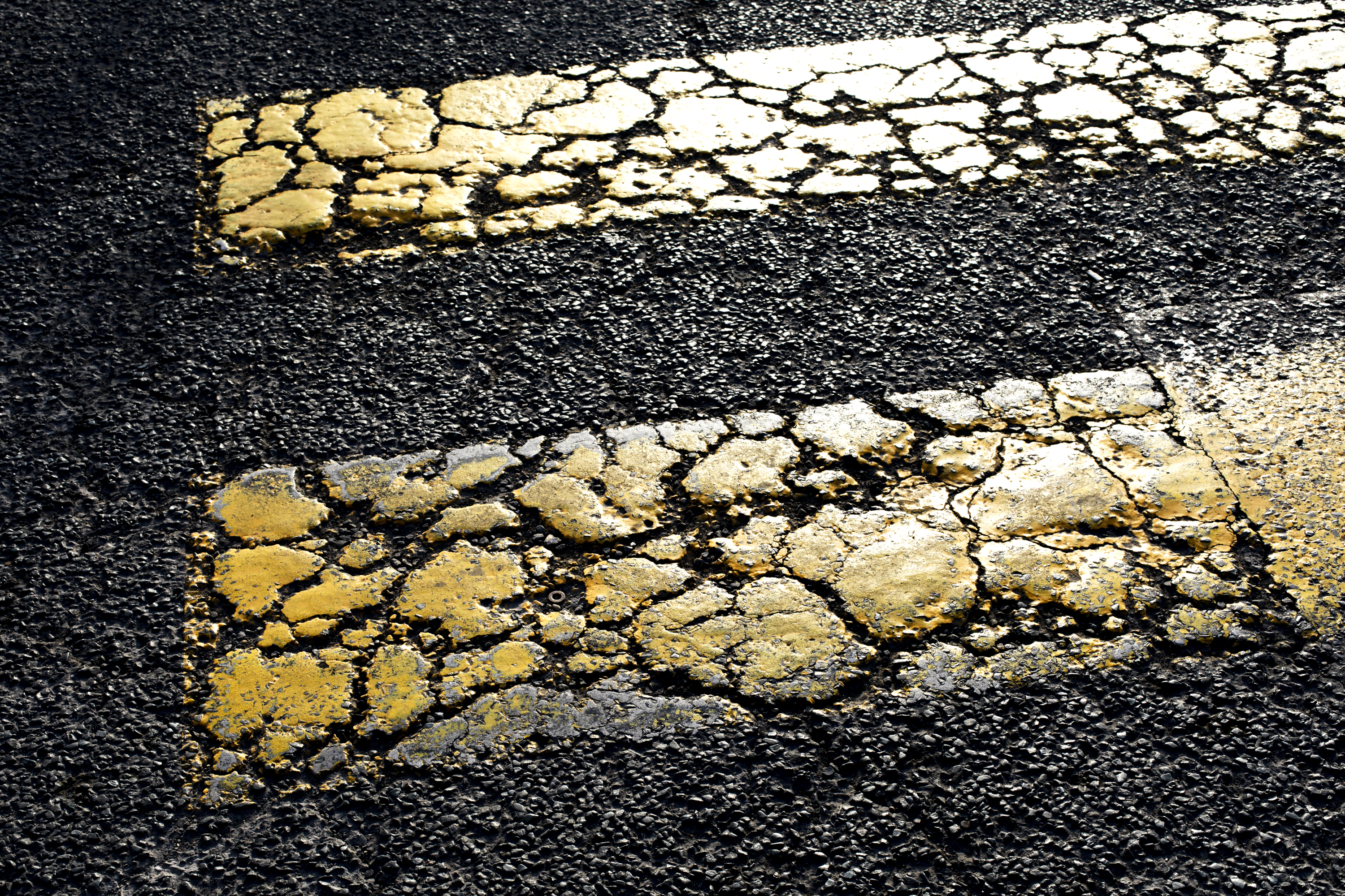 julien cregut-Lost Dogs-©juliencregut