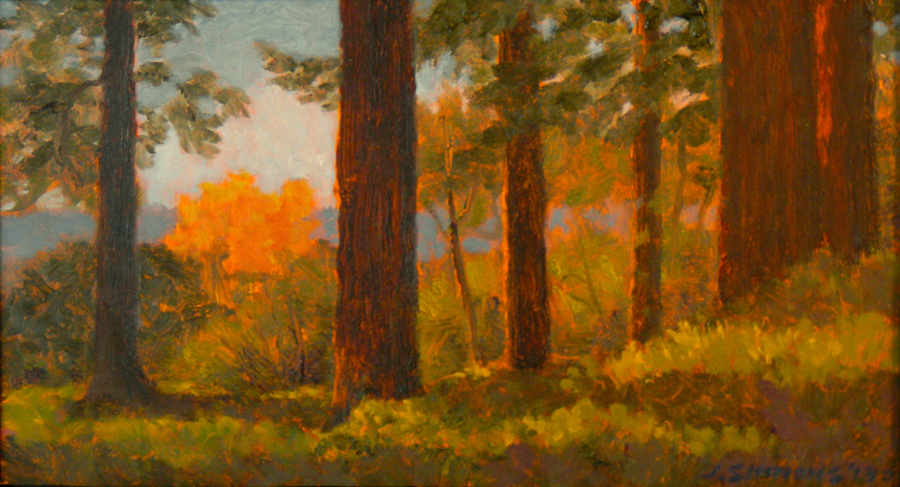 L2.50 - Tabor afternoon