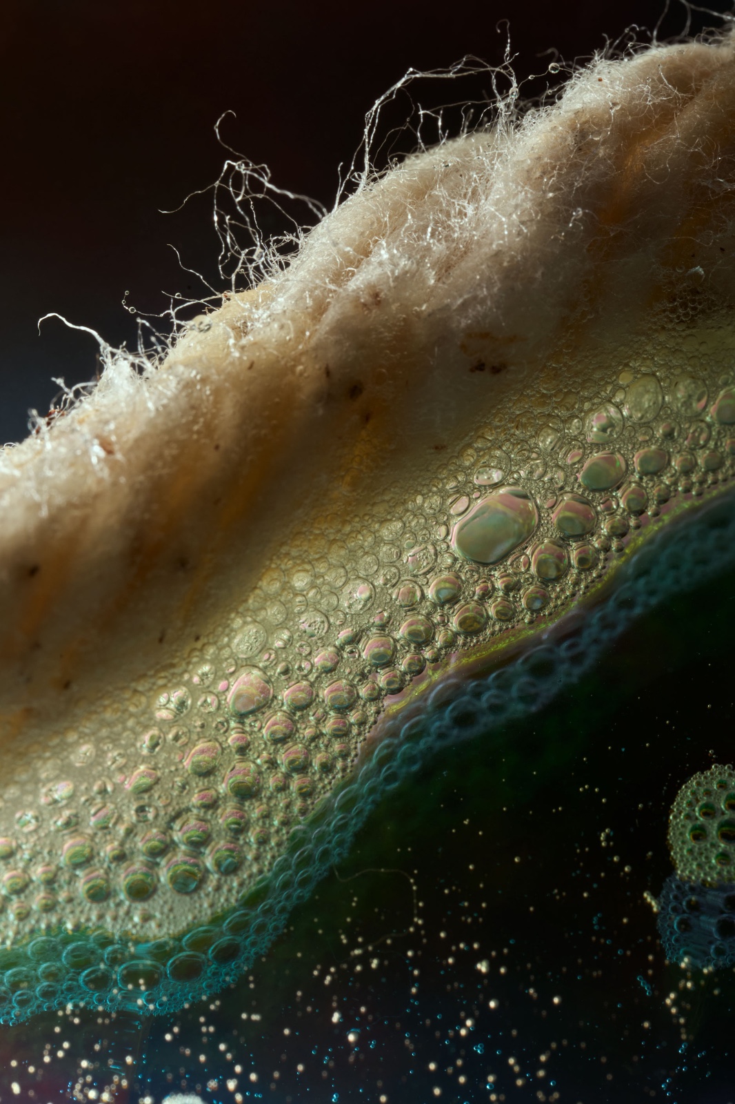 Clelia Cadamuro - Garusola