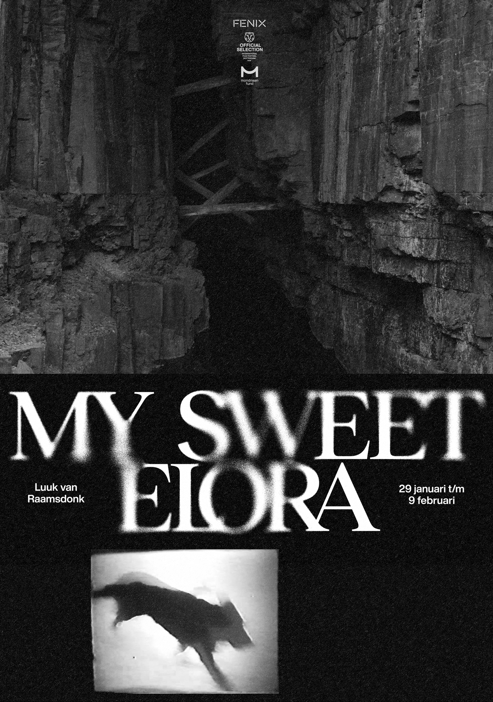 Poster for Luuk van Raamsdonk (2026)