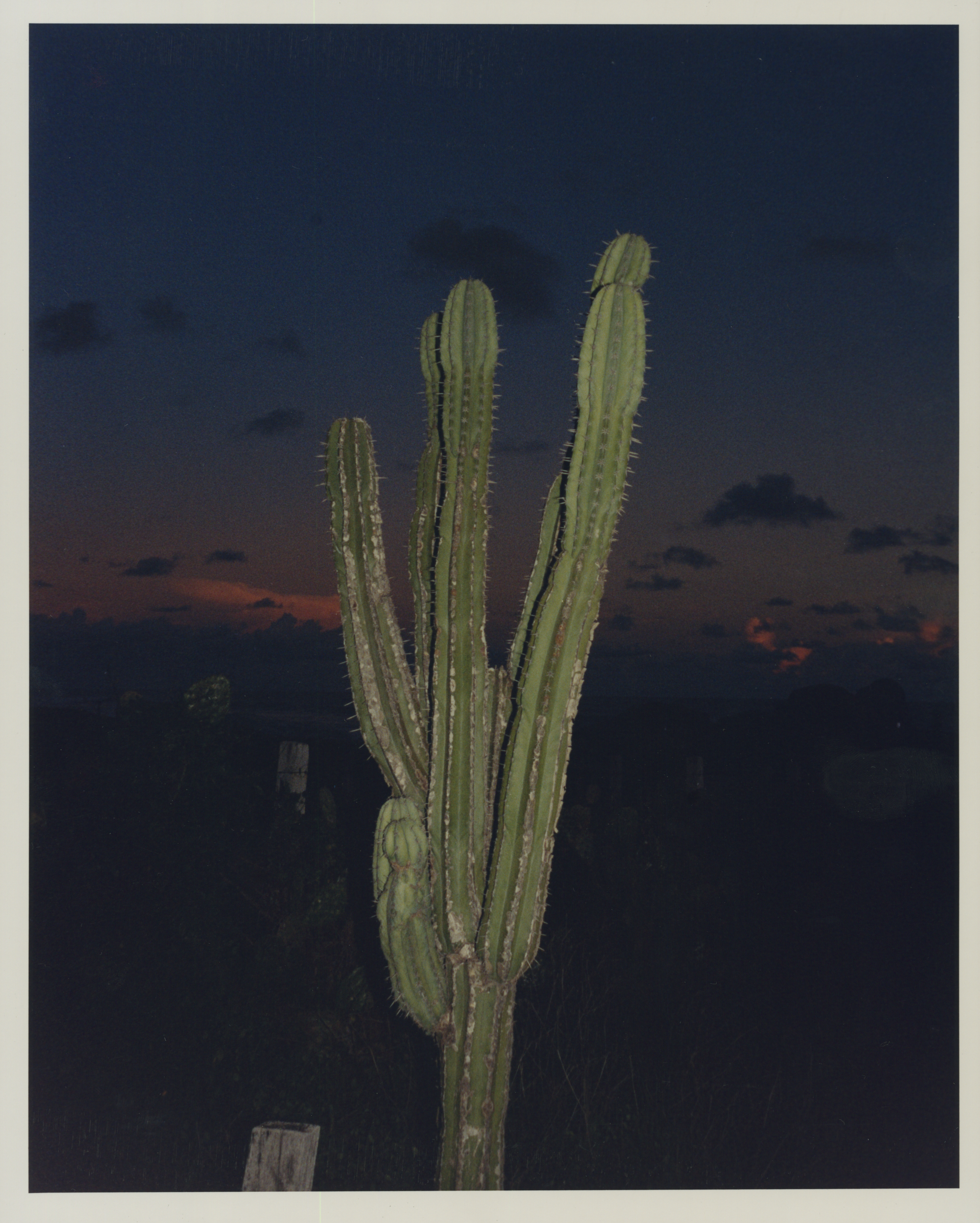 Oaxaca, 2021