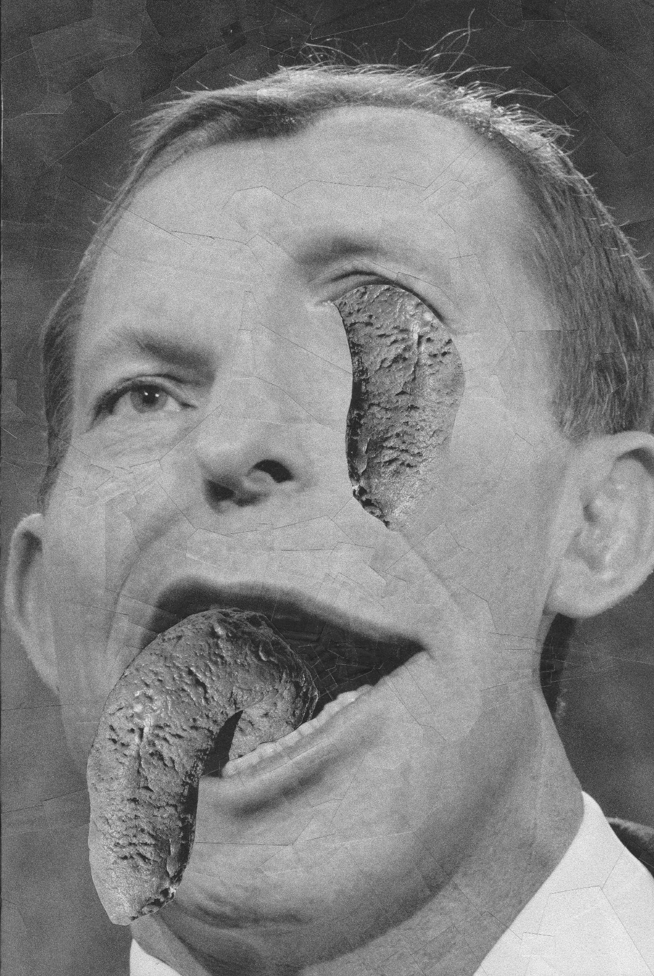 Abbot, 2014, 8.2 x 11.6 inches