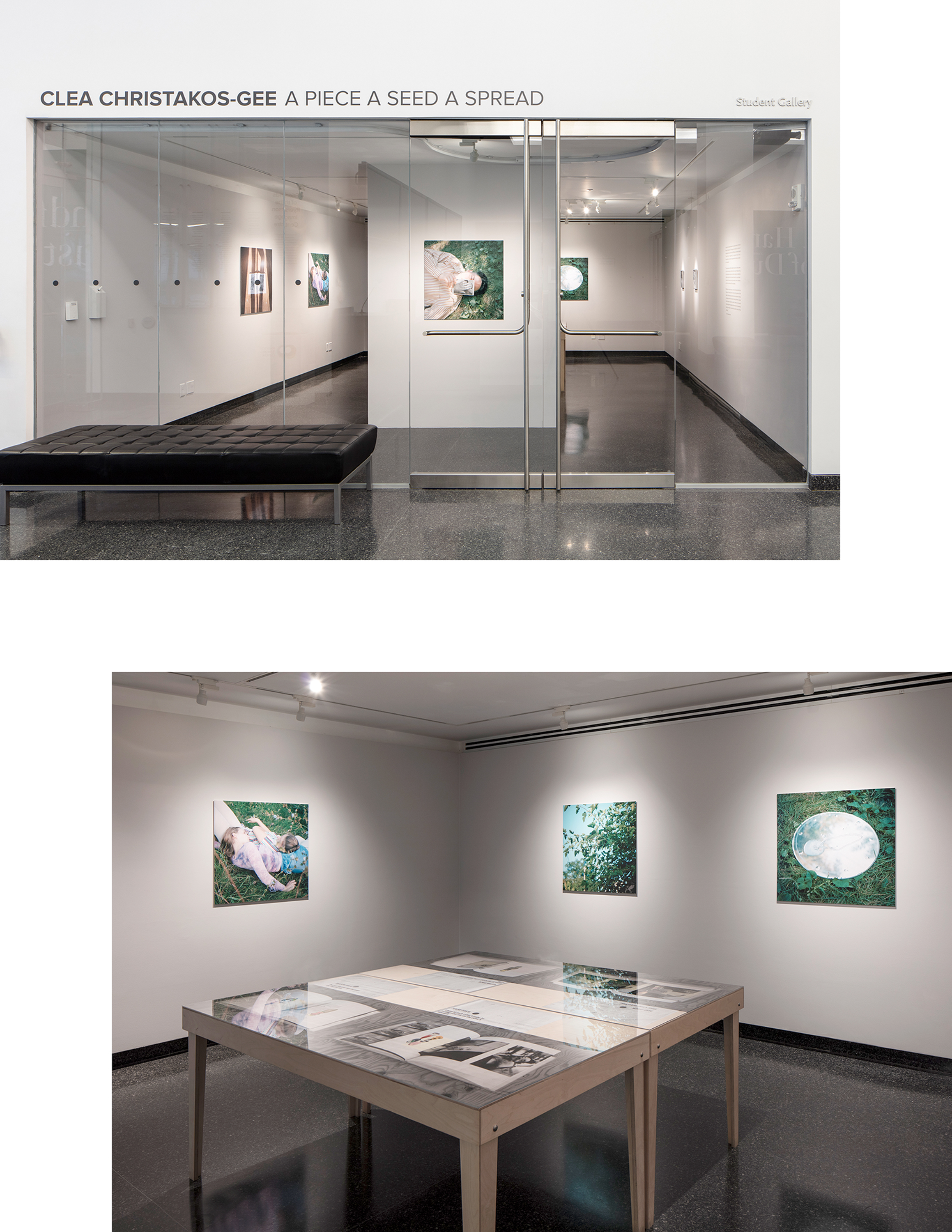 A piece A seed A spread installation at The Image Centre, 2020