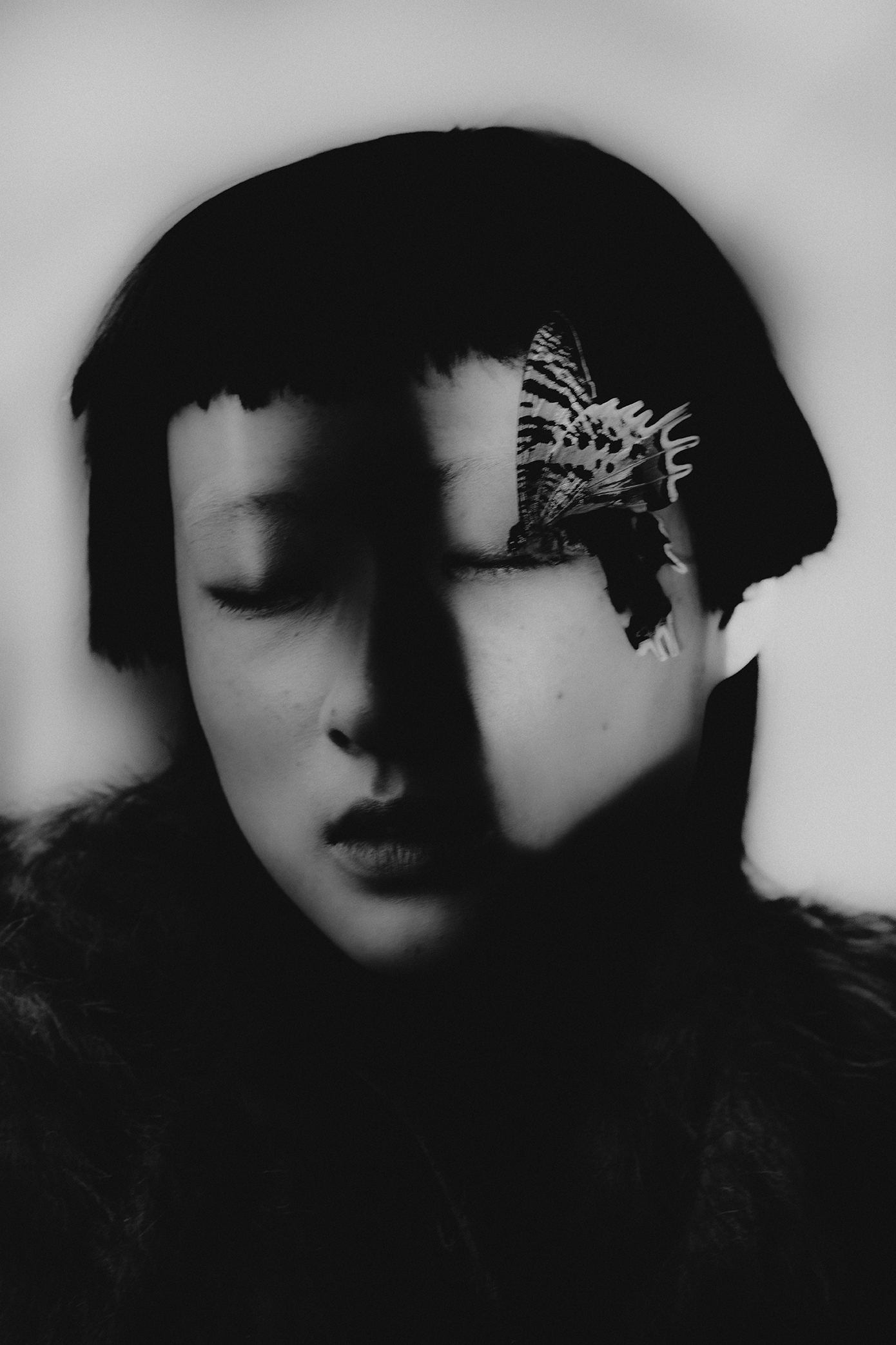 Zib with Sunset Moth - Autonomy - 2021