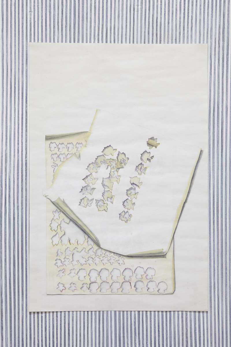 White Violets, 2015Gesso, watercolor, and watercolor pencil on paper, 18" x 12"
