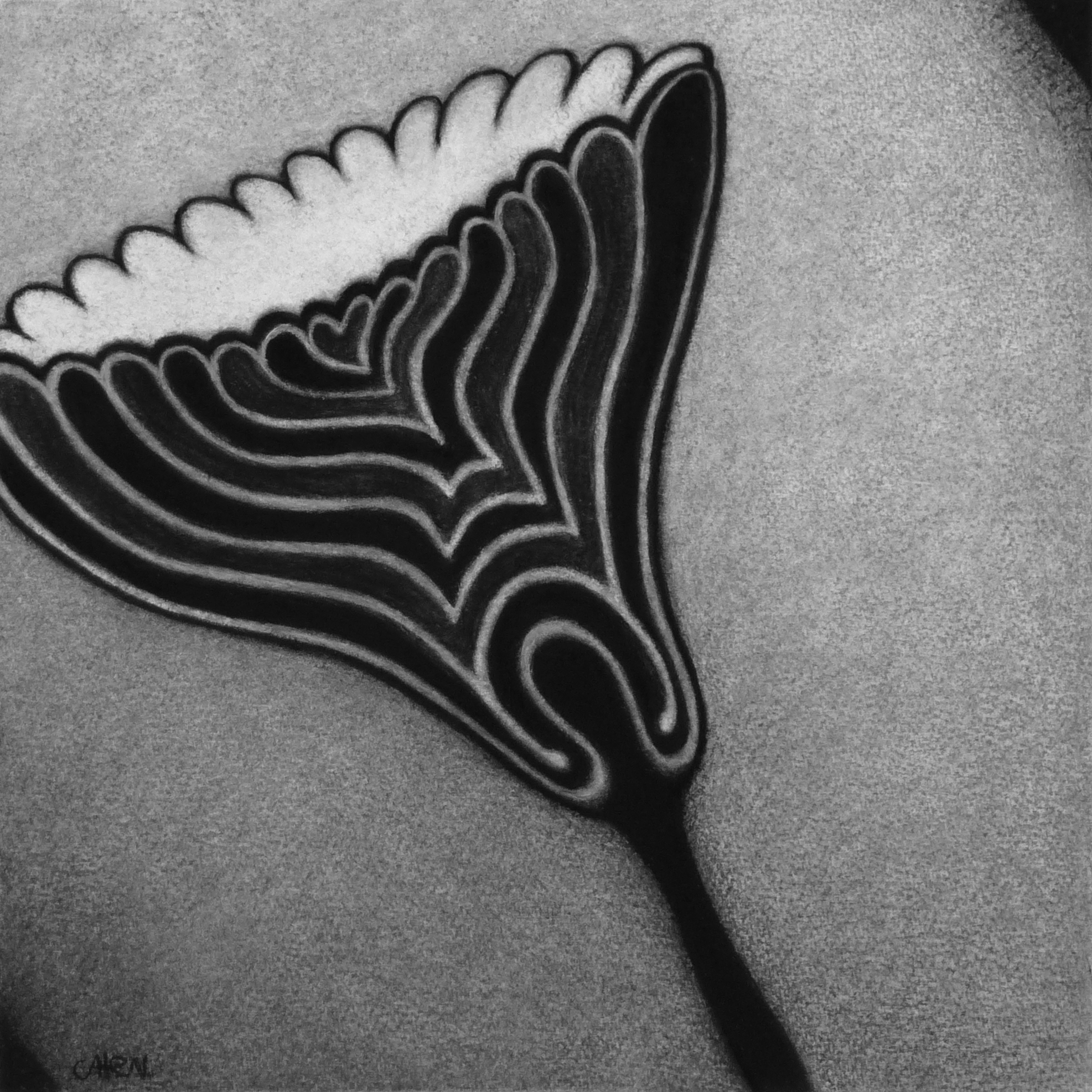 houtskool op papier, 30 x 30 cm, 2024