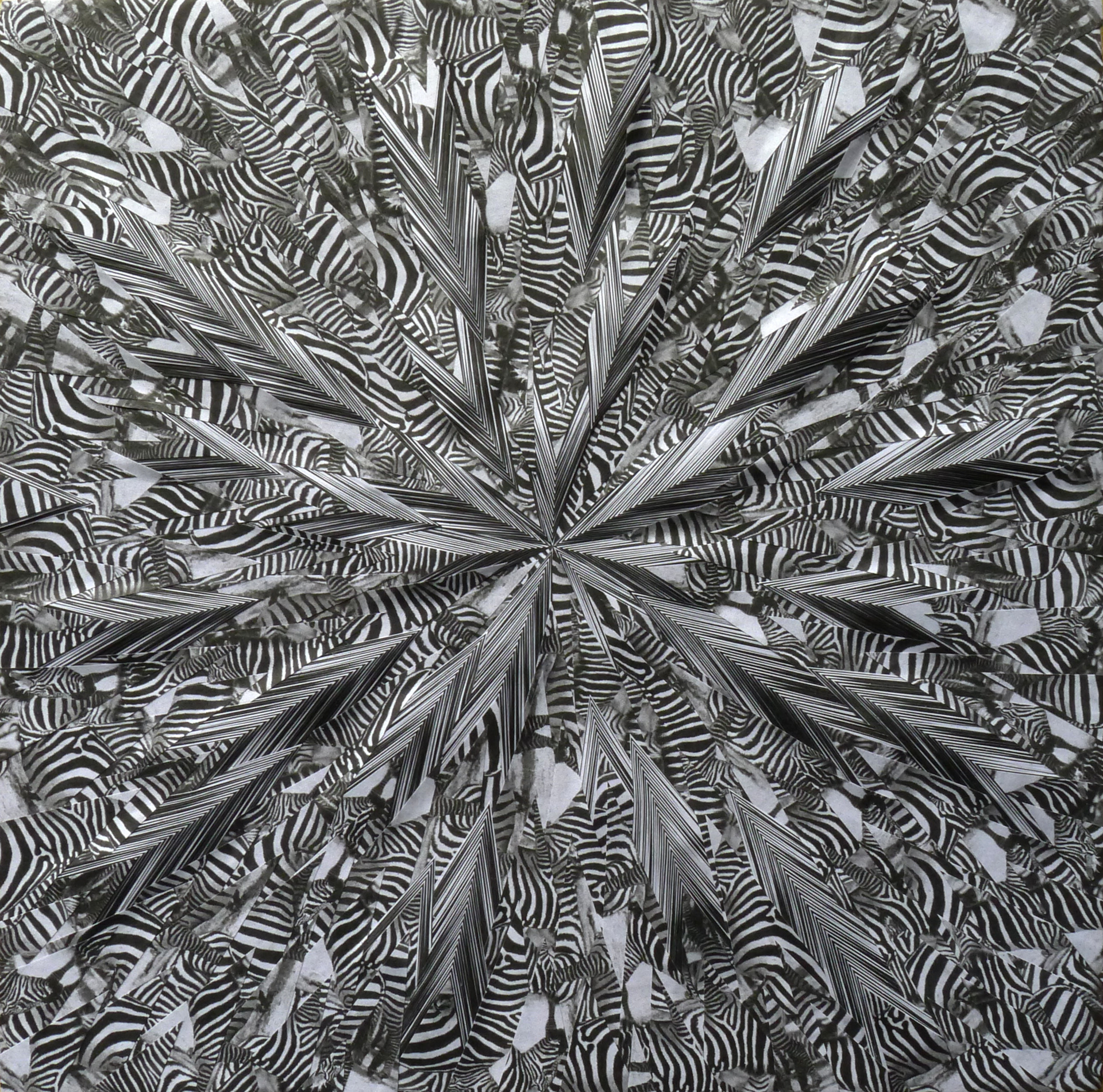 Liquid Zebra, 2014, 20 x 20 inches