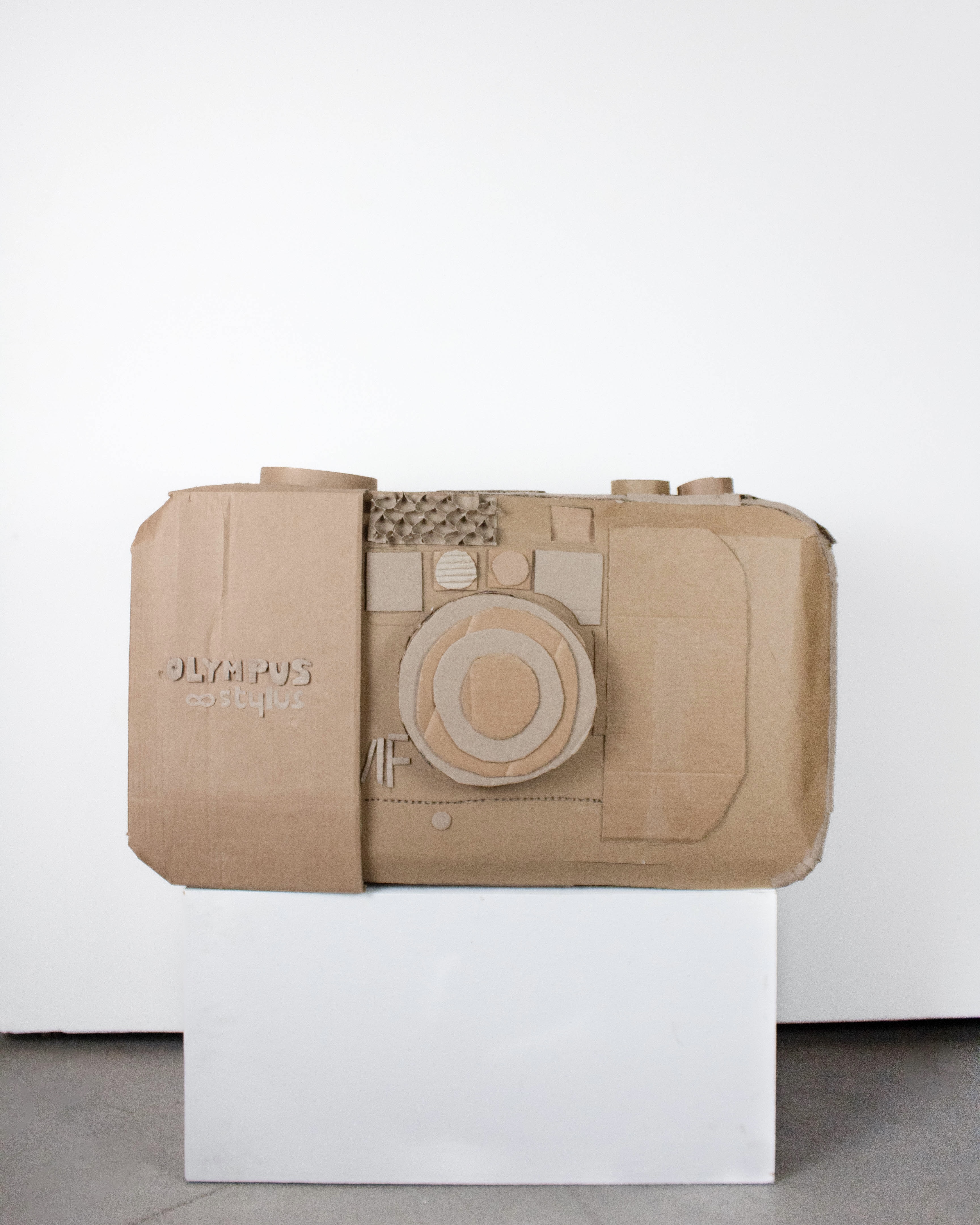 Cardboard Camera, 2023