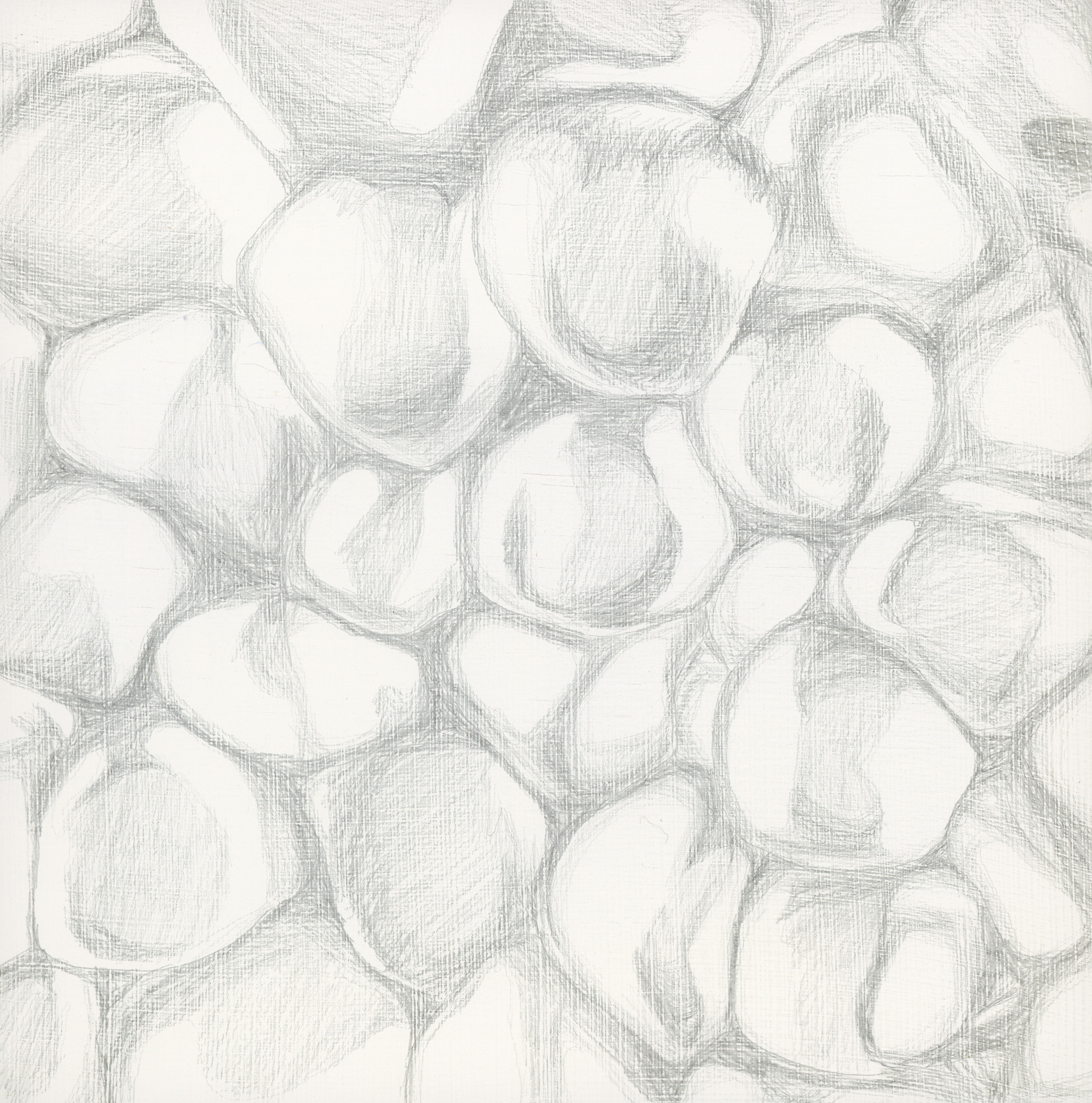 pomegranate study, metalpoint on cradled panel, 6x6, 2022