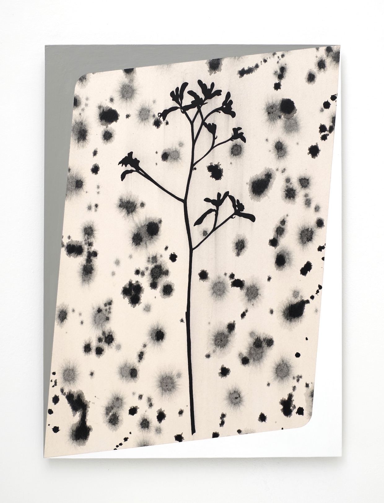 'Framing the known and unknown’, acrylic and alkyd on paper/aluminium, 43 x 31 cm