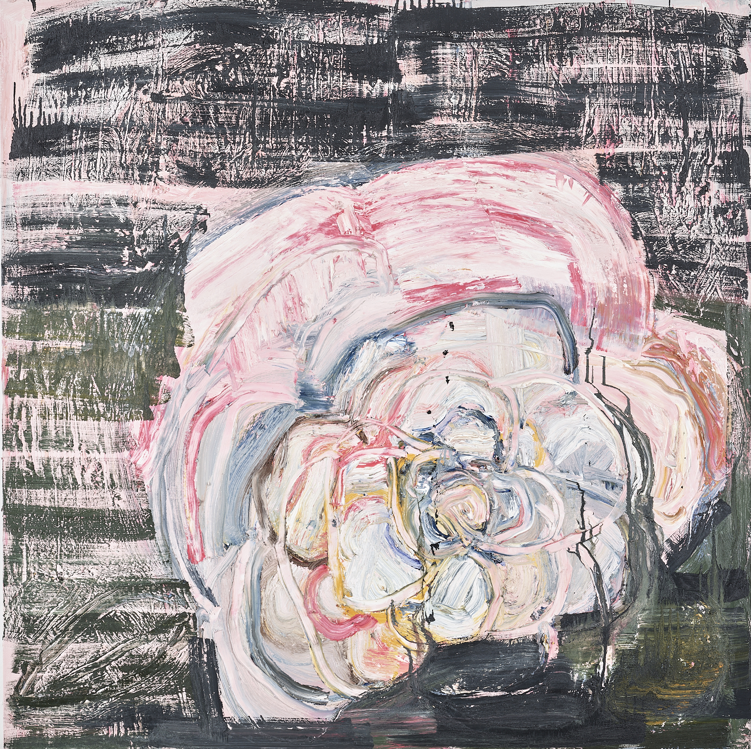 Punk Camellia, 2019, oil on canvas, 48 x 48 in (PRIVATE COLLECTION)