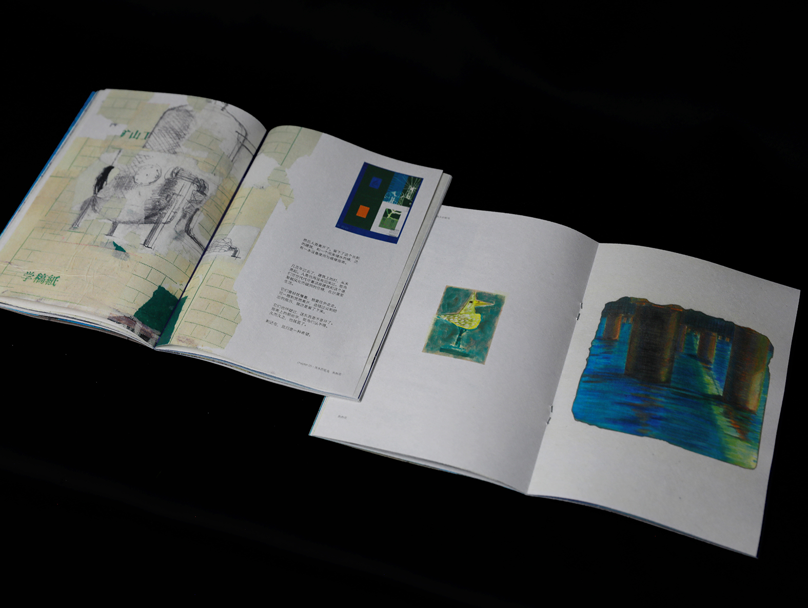 Ostrich/找水的鸵鸟