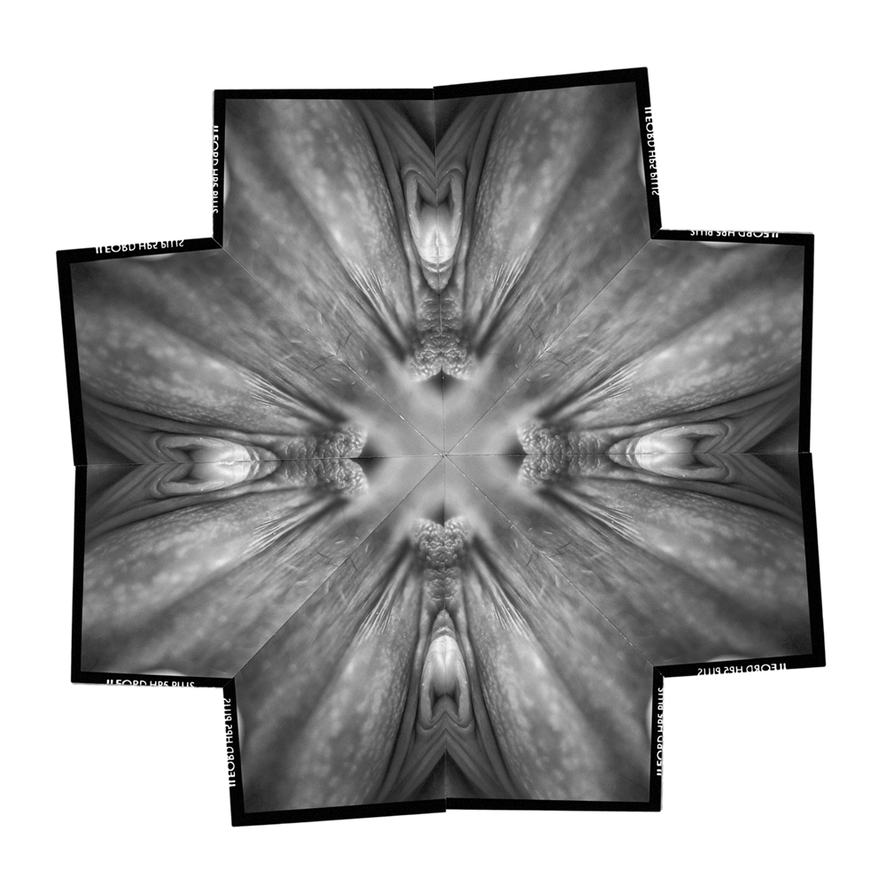 2004 04The Flowers of DelightKvetiny slasti