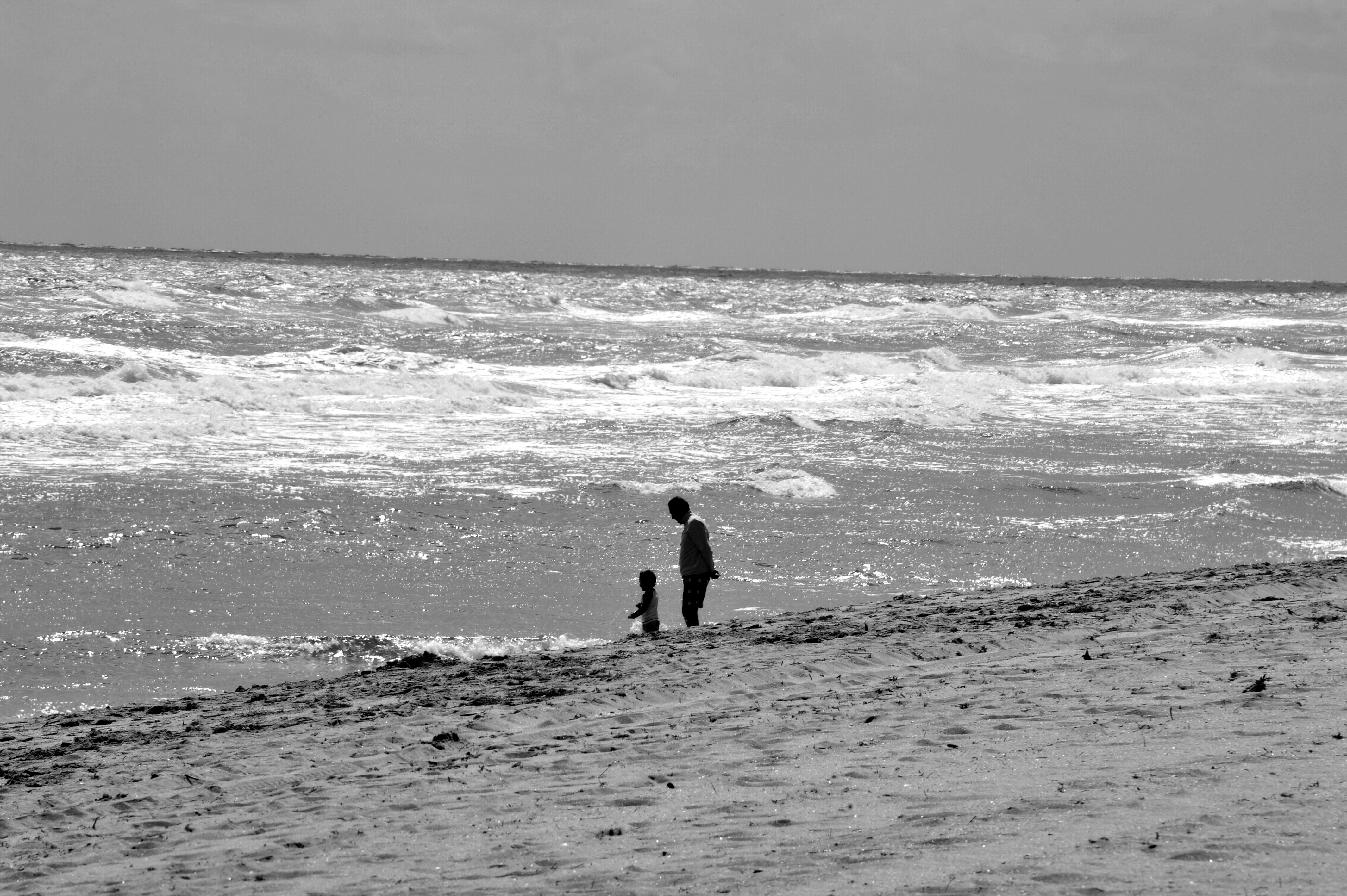 DSC 2161 FloridaBUY THIS PRINT