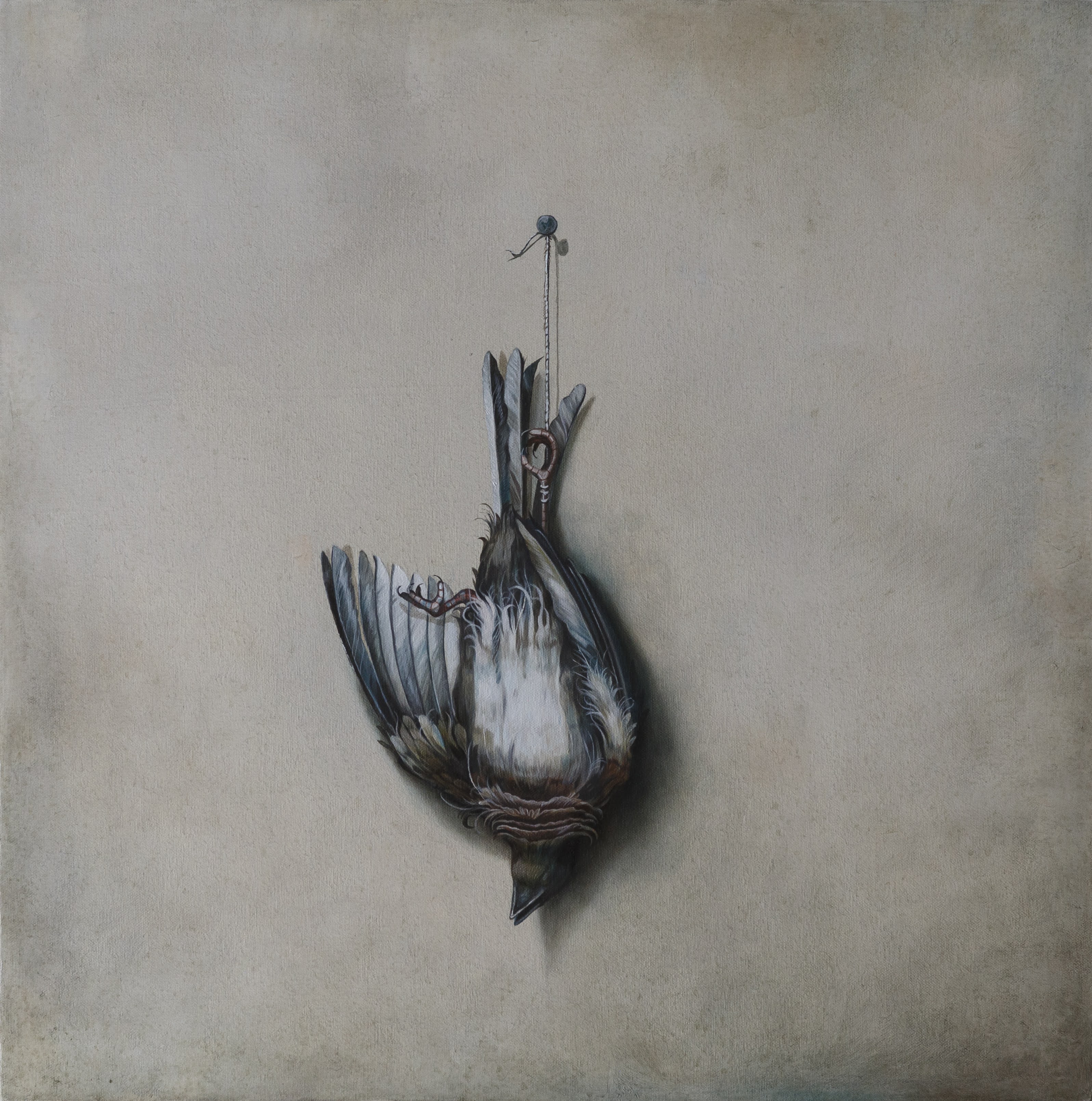 Pássaro, 2023. Óleo sobre tela, 45 x 45 cm.