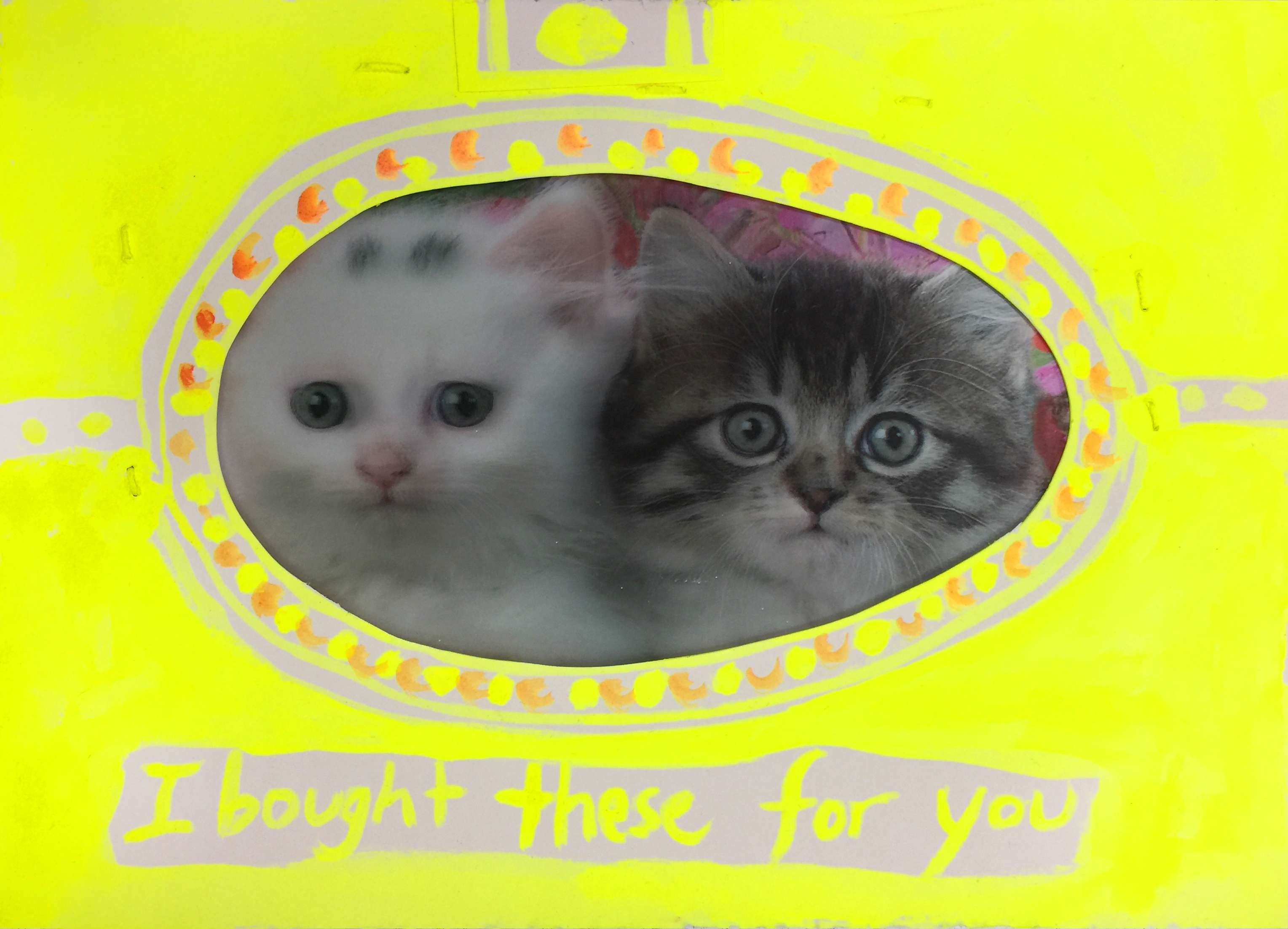  I bought these for you