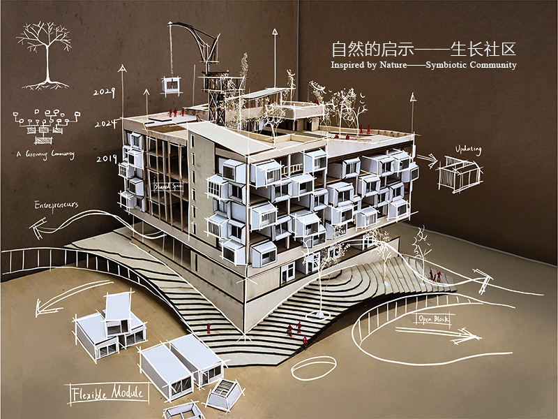 自然的启示——生长社区三年级