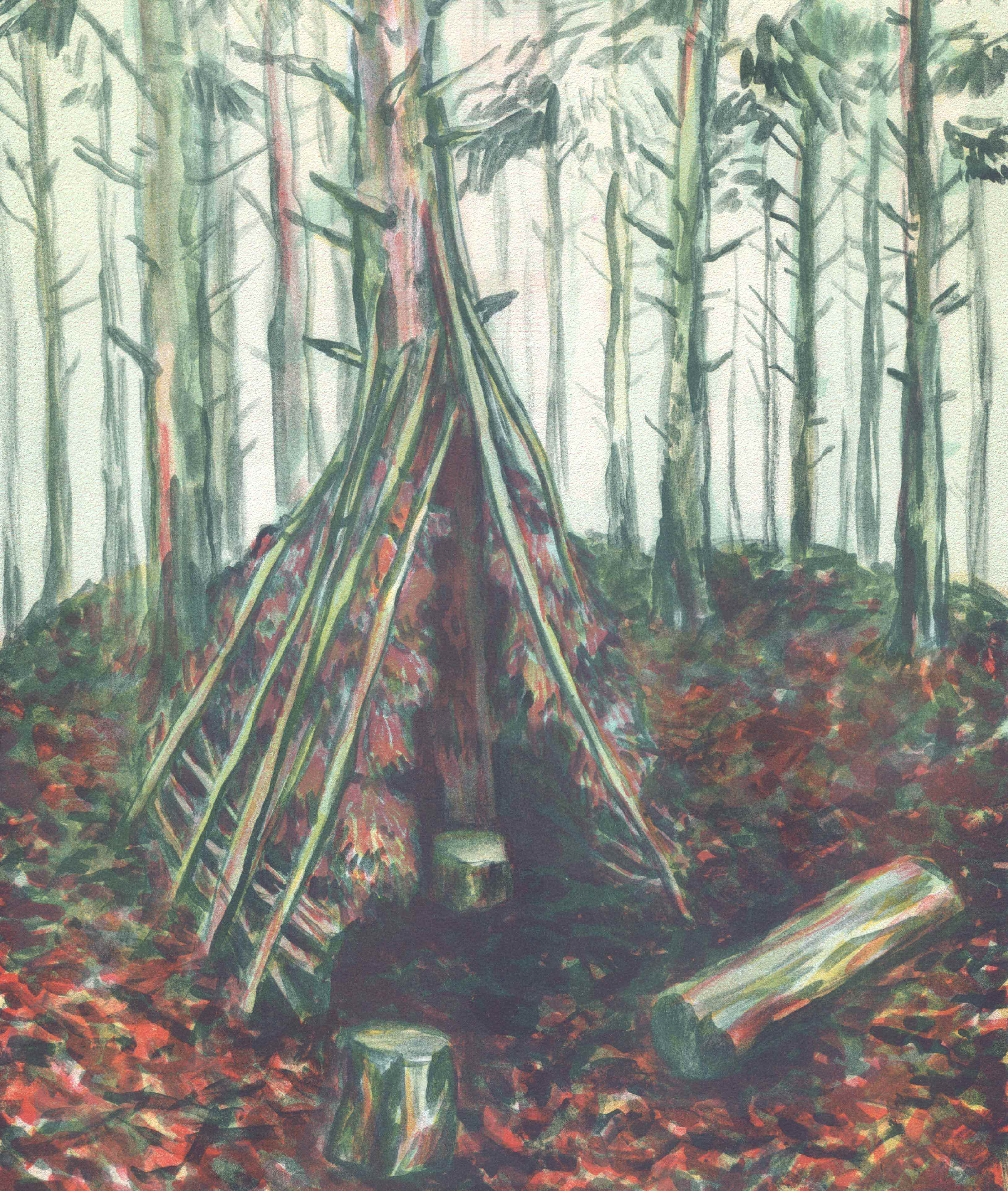 shelter