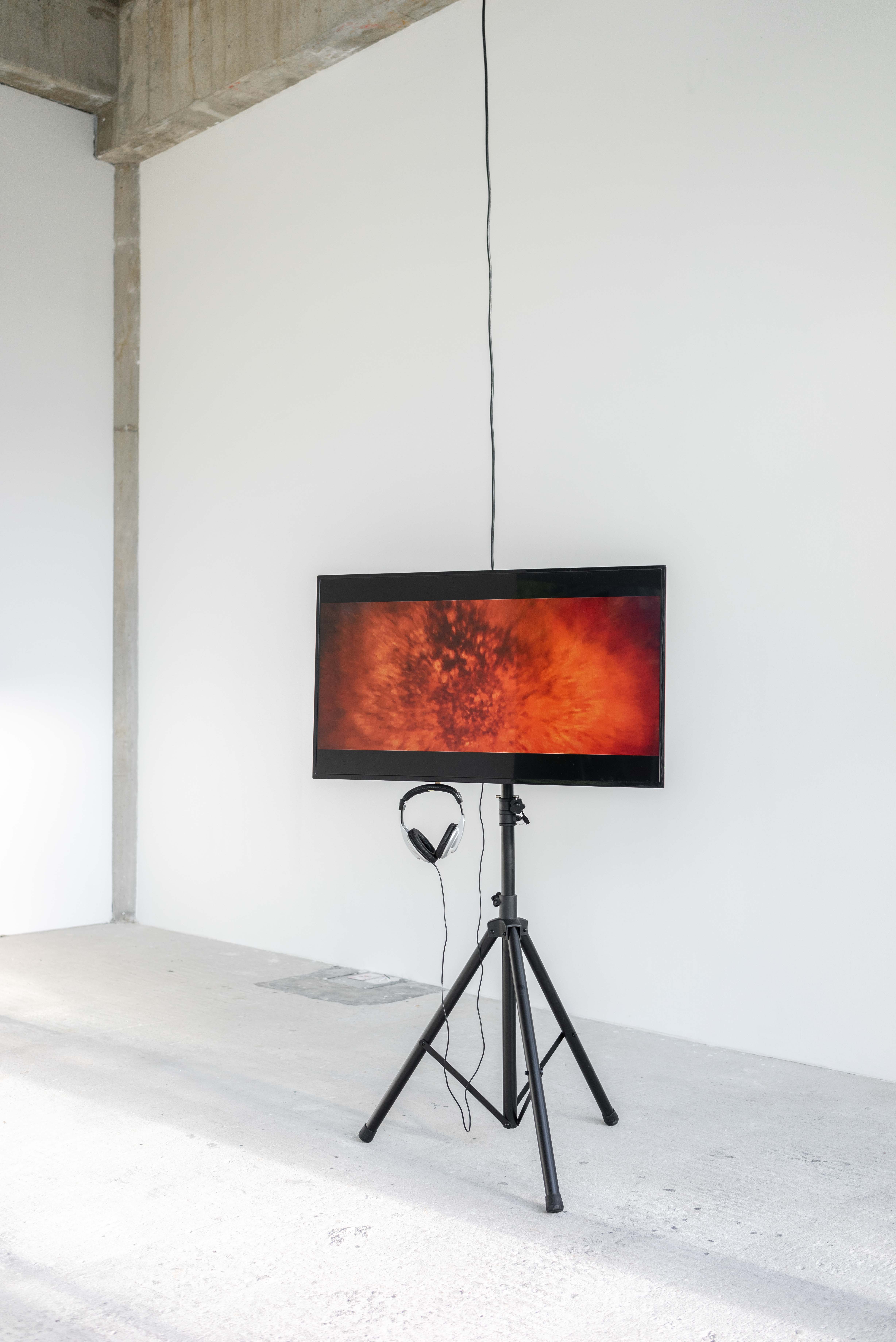 Paul Müller – Seestück: Boom, 2022