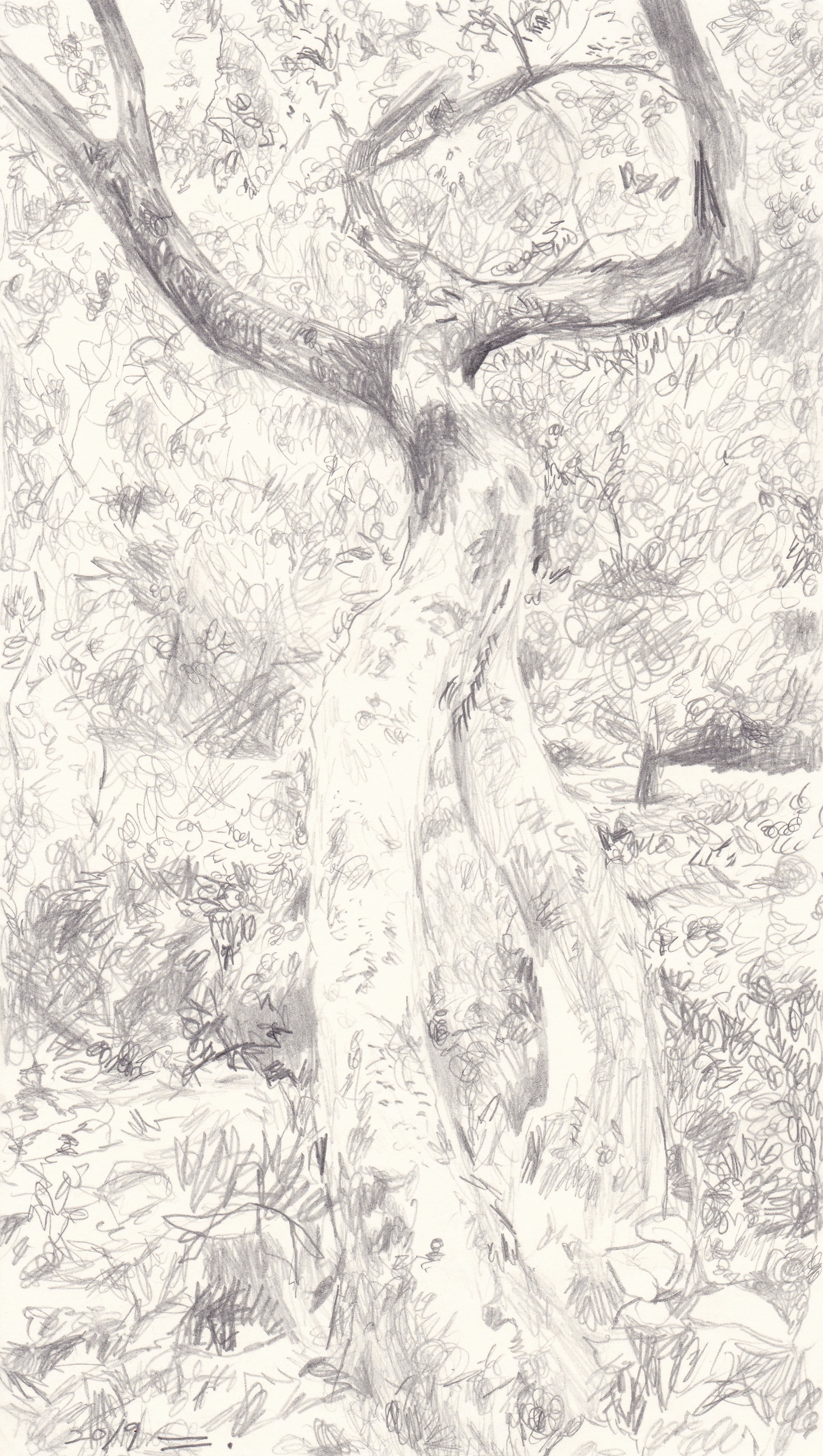 한강공원 나무 아래에서, 2019, pencil on paper, 17.8*10(cm)