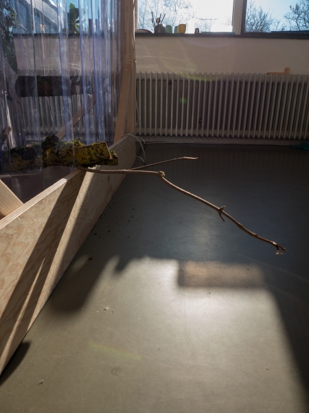 Installation view: Hot House (Jan van Eyck Academie)