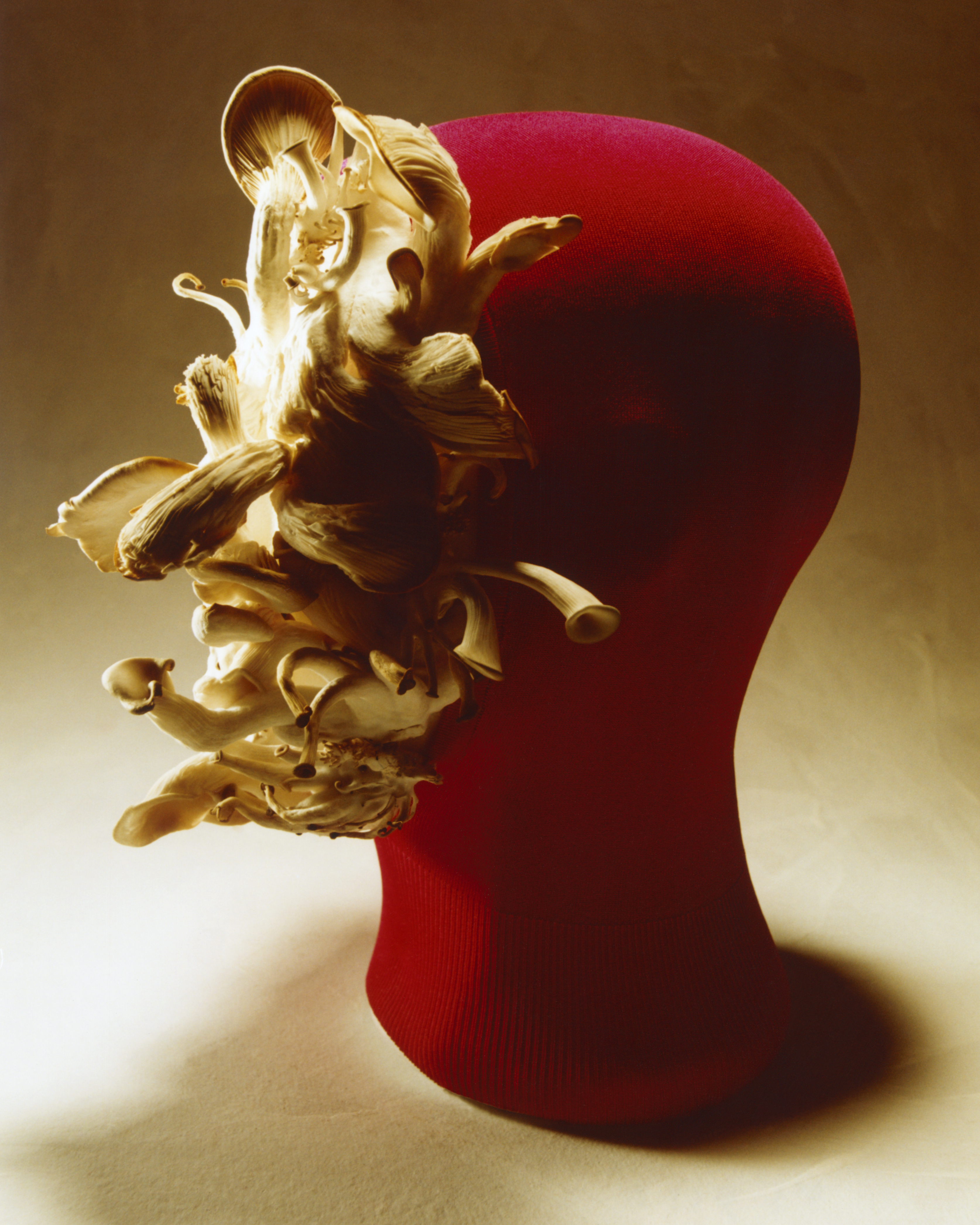 SCULPTURE WITH PIERRE-ALEXANDRE FILLAIRESTYLE BY NICOLÒ PABLO VENERDÌ