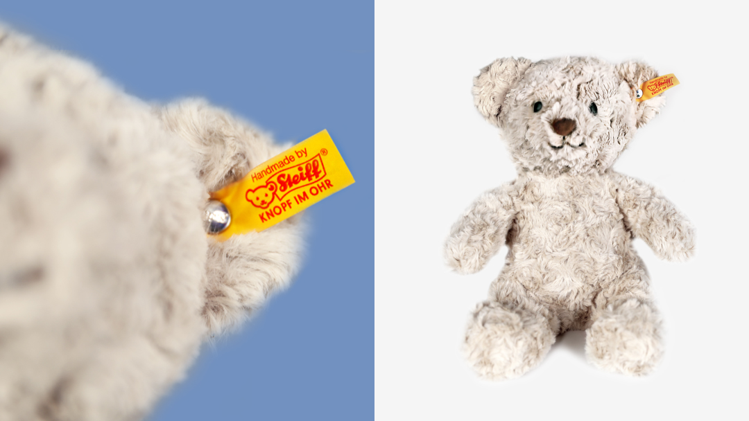 Photographs of the teddy bear taken from different angles