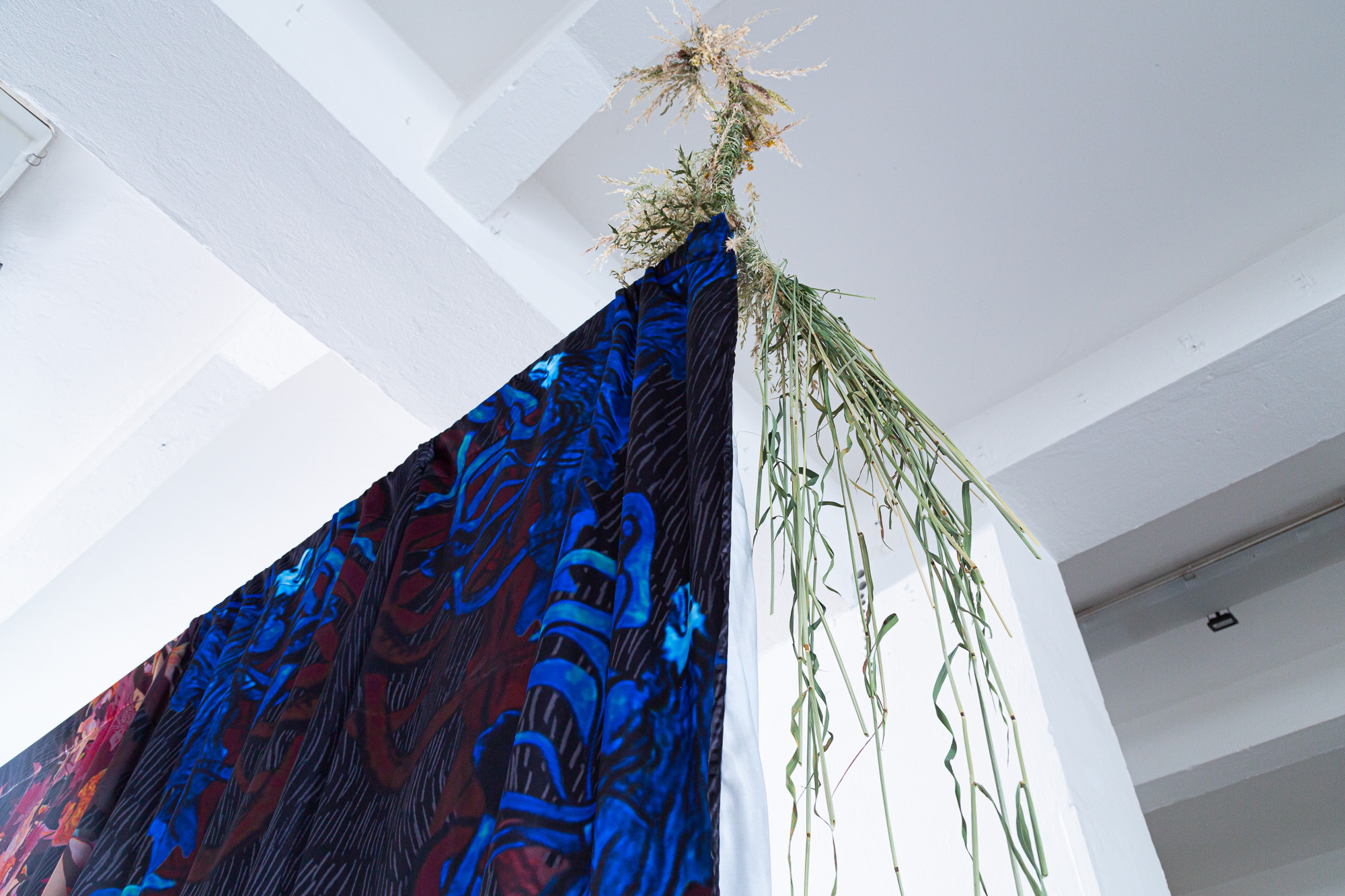 From Arid Landscapes to Ancient Waters, 2024