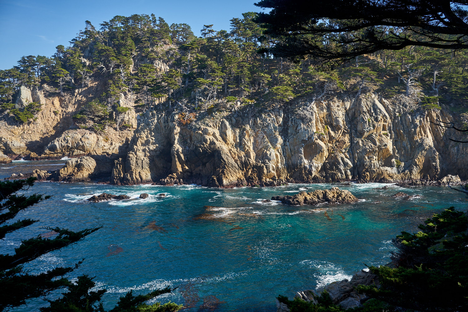 2018 Point Lobos California