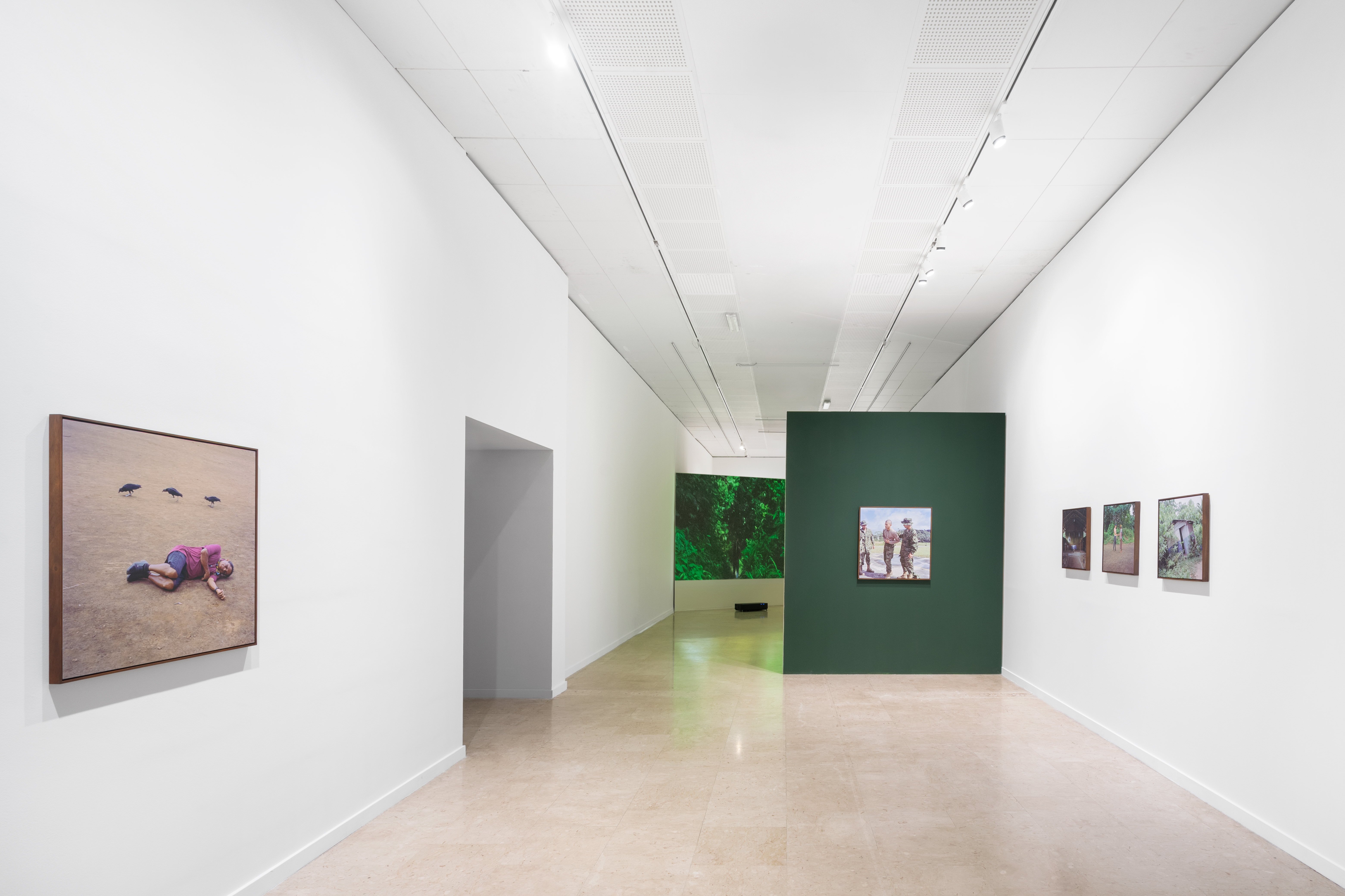 ‘Once Upon a time in the Jungle’ at the EXPOSED Torino Foto Festival 2025. GAM, Torino