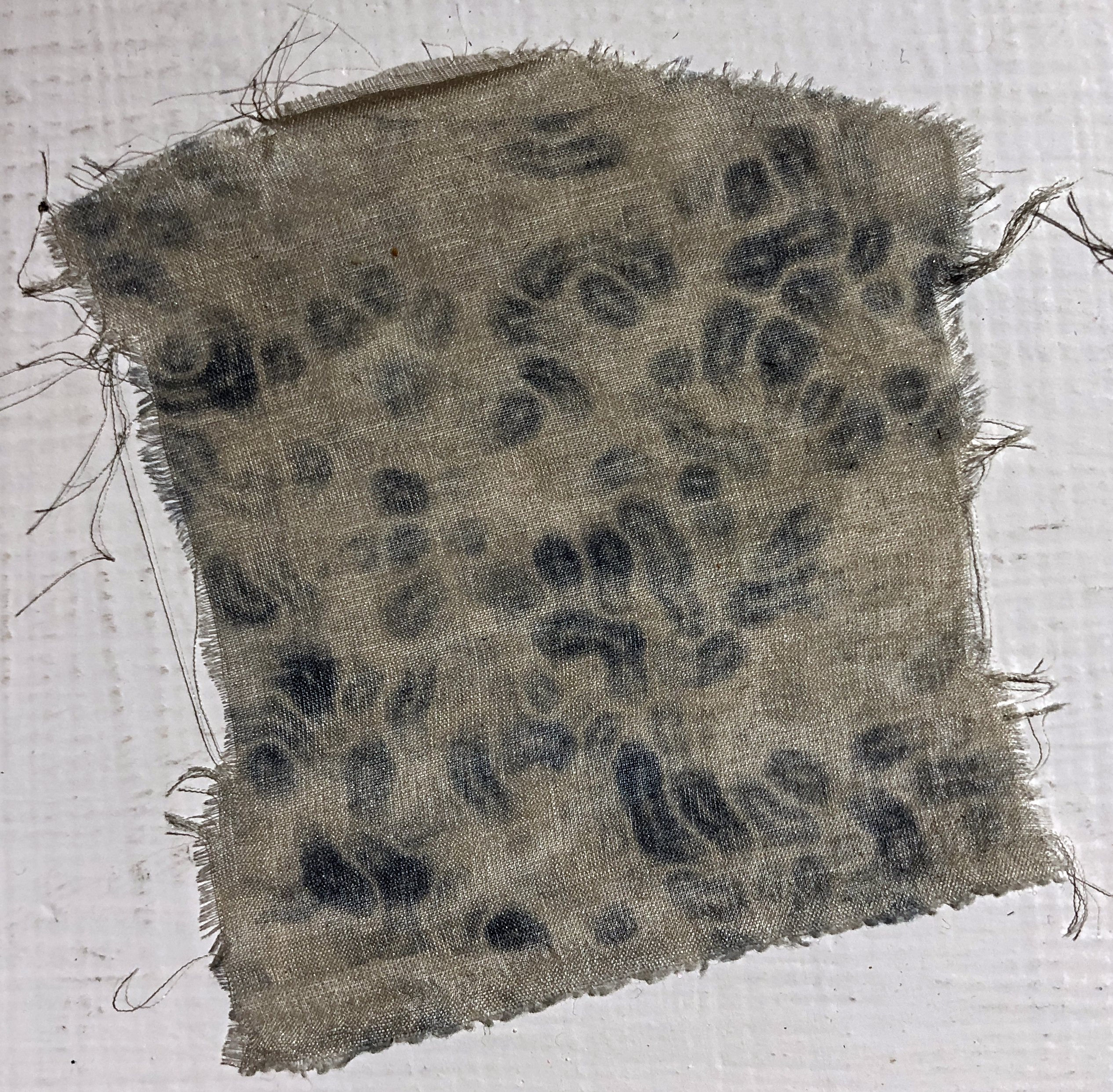 雷射染、茜草、雪紡絲 laser dye, rubia cordifolia, chiffon