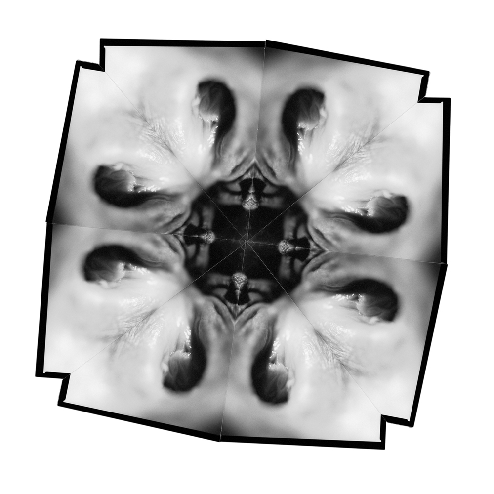 2004 06The Flowers of DelightKvetiny slasti