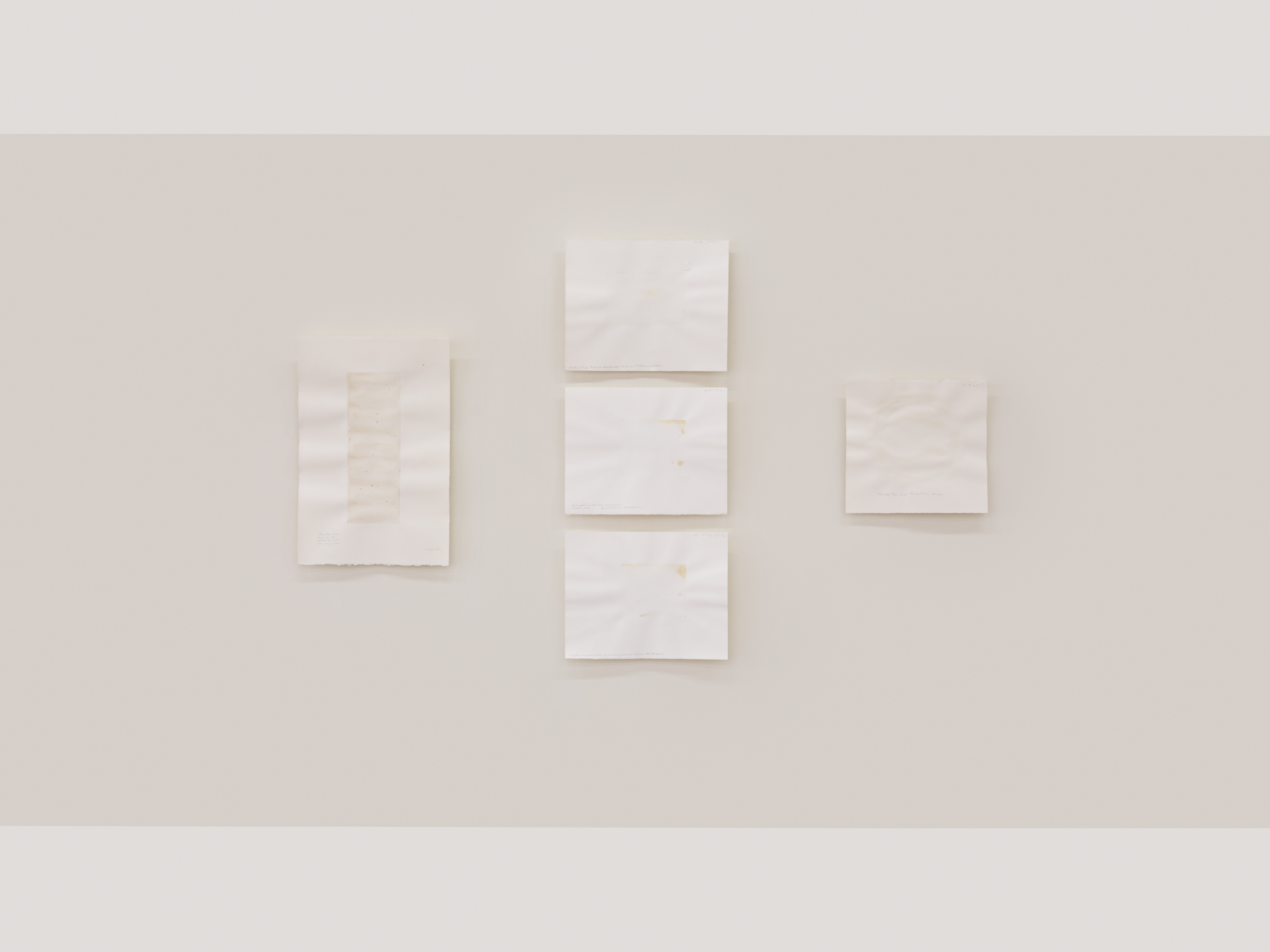 Judith Williams, Water / Colour, 2026. Installation view: Pale Fire, Vancouver. Image Credit: Rachel Topham