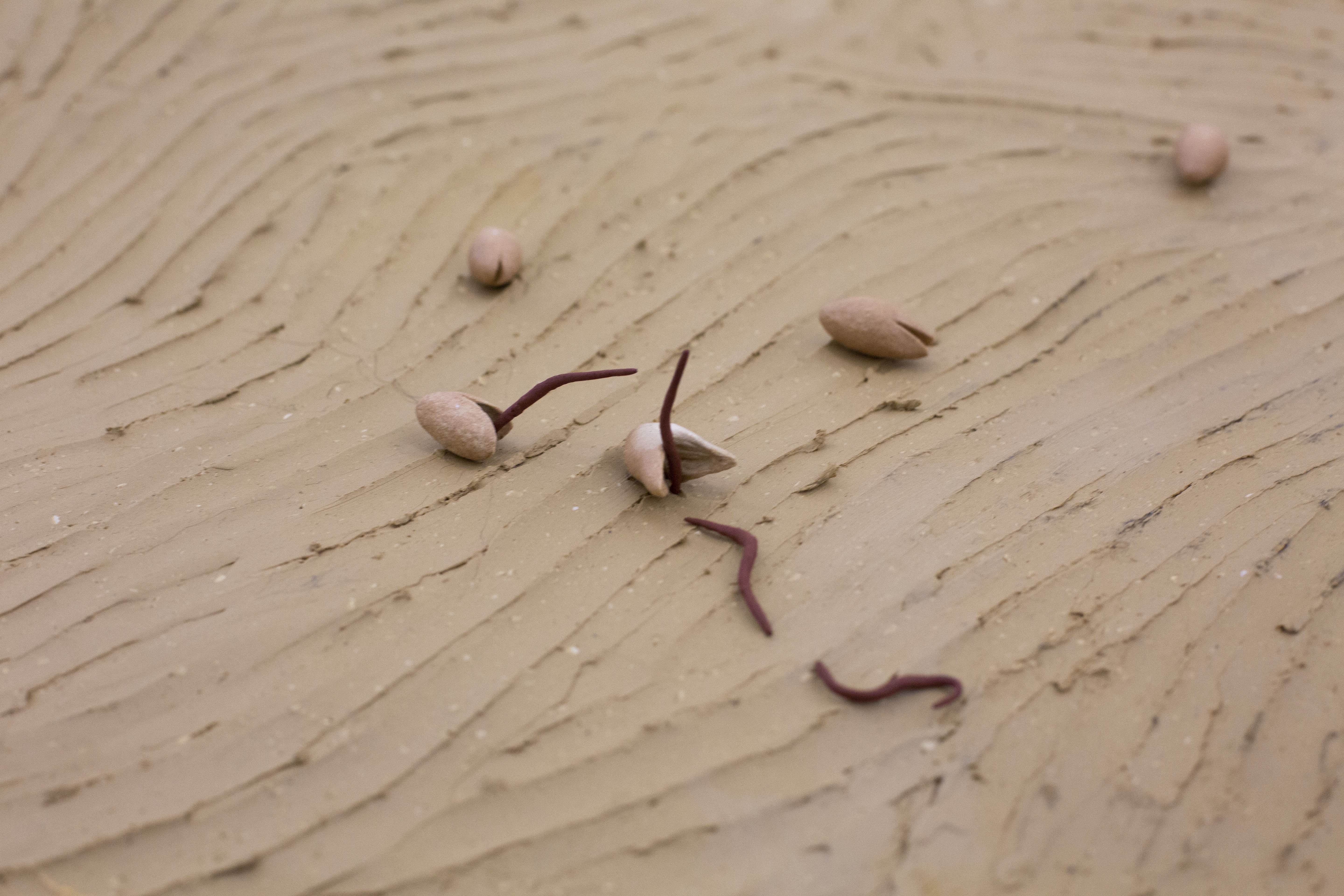 P|cture by Thor Salden