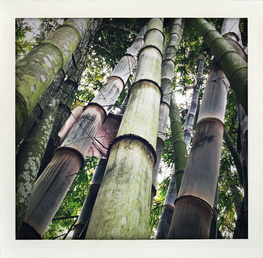 2015/08 Bali Indonesia