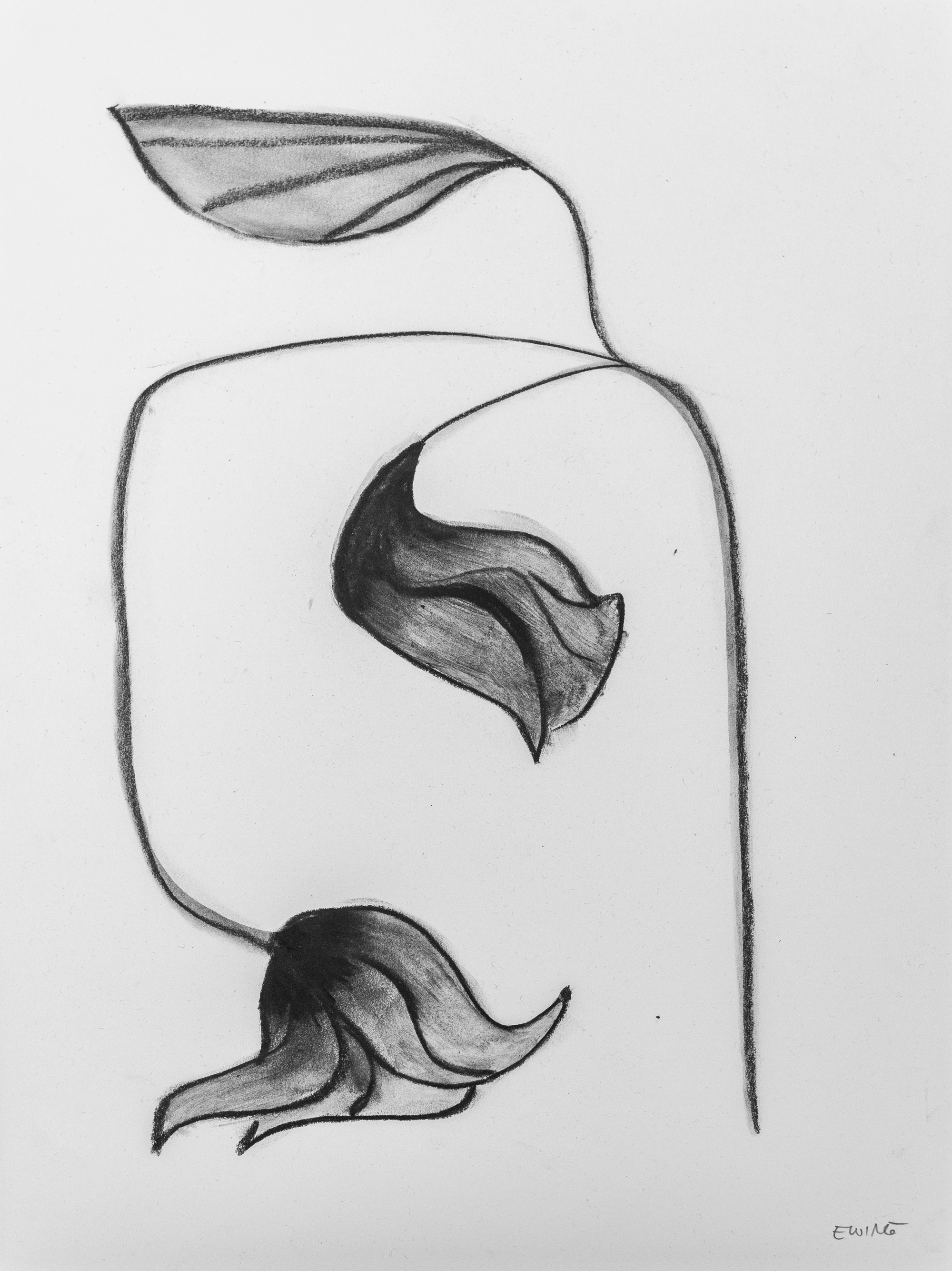 Floral Sketch 09 — $100