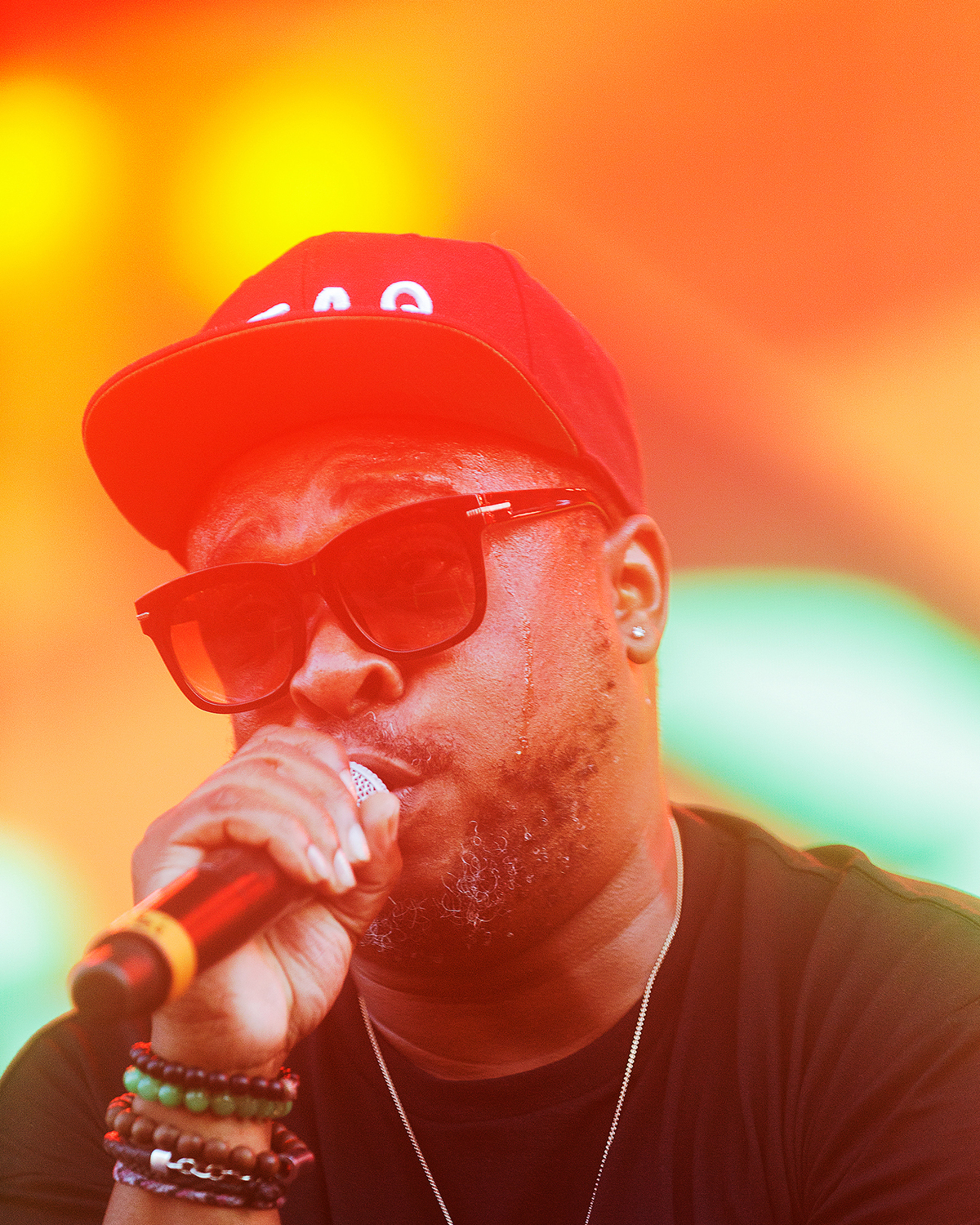 Jarobi White of A Tribe Called Quest, 2017